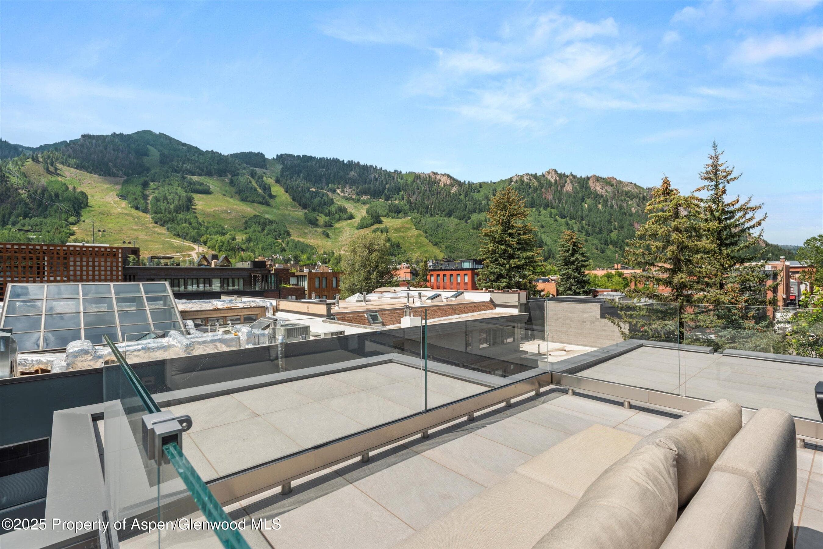 627 E Hopkins Avenue, Aspen, CO 81611 - Photo 38