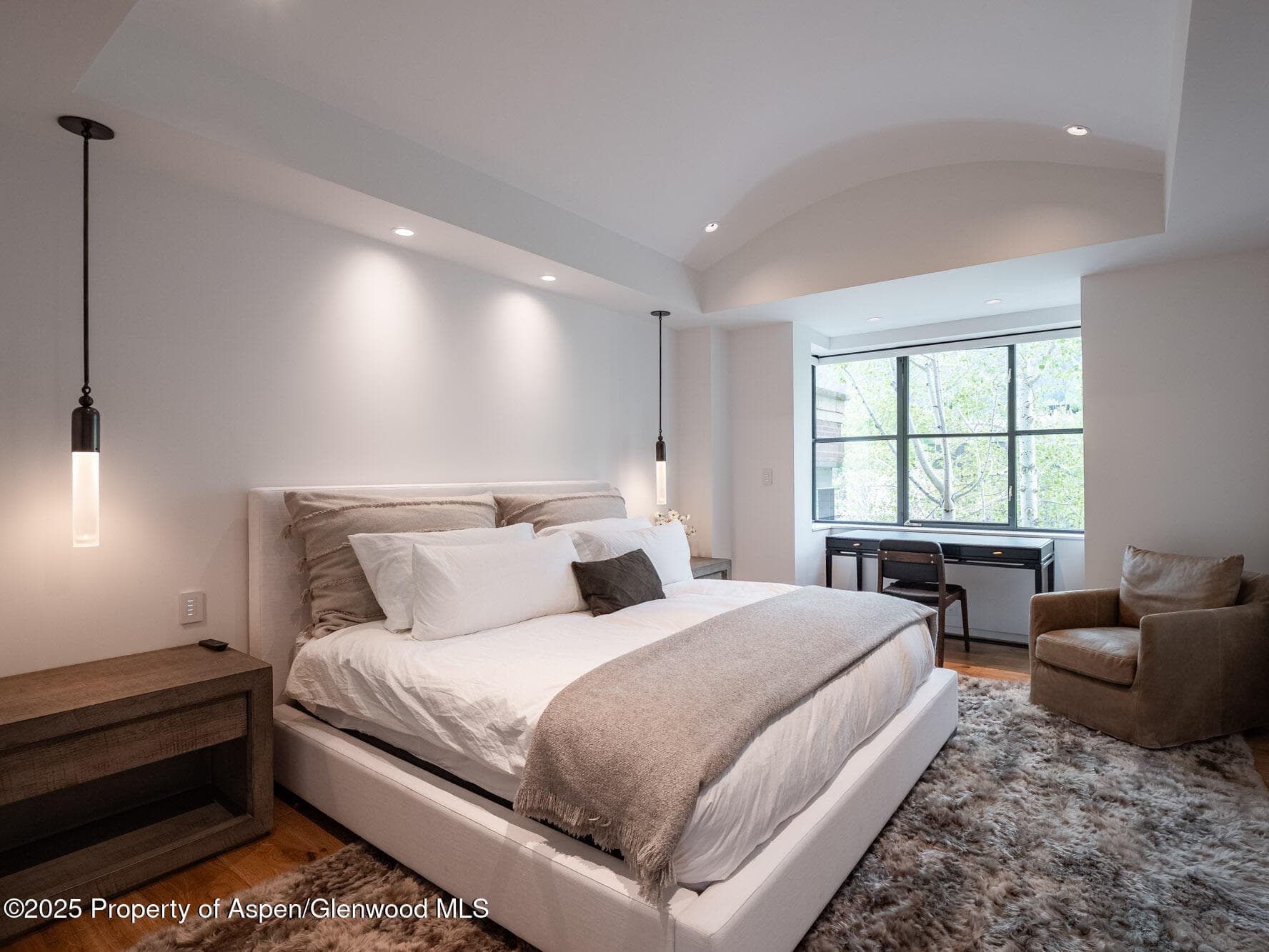 624 E Hopkins Avenue, Aspen, CO 81611 - Photo 13