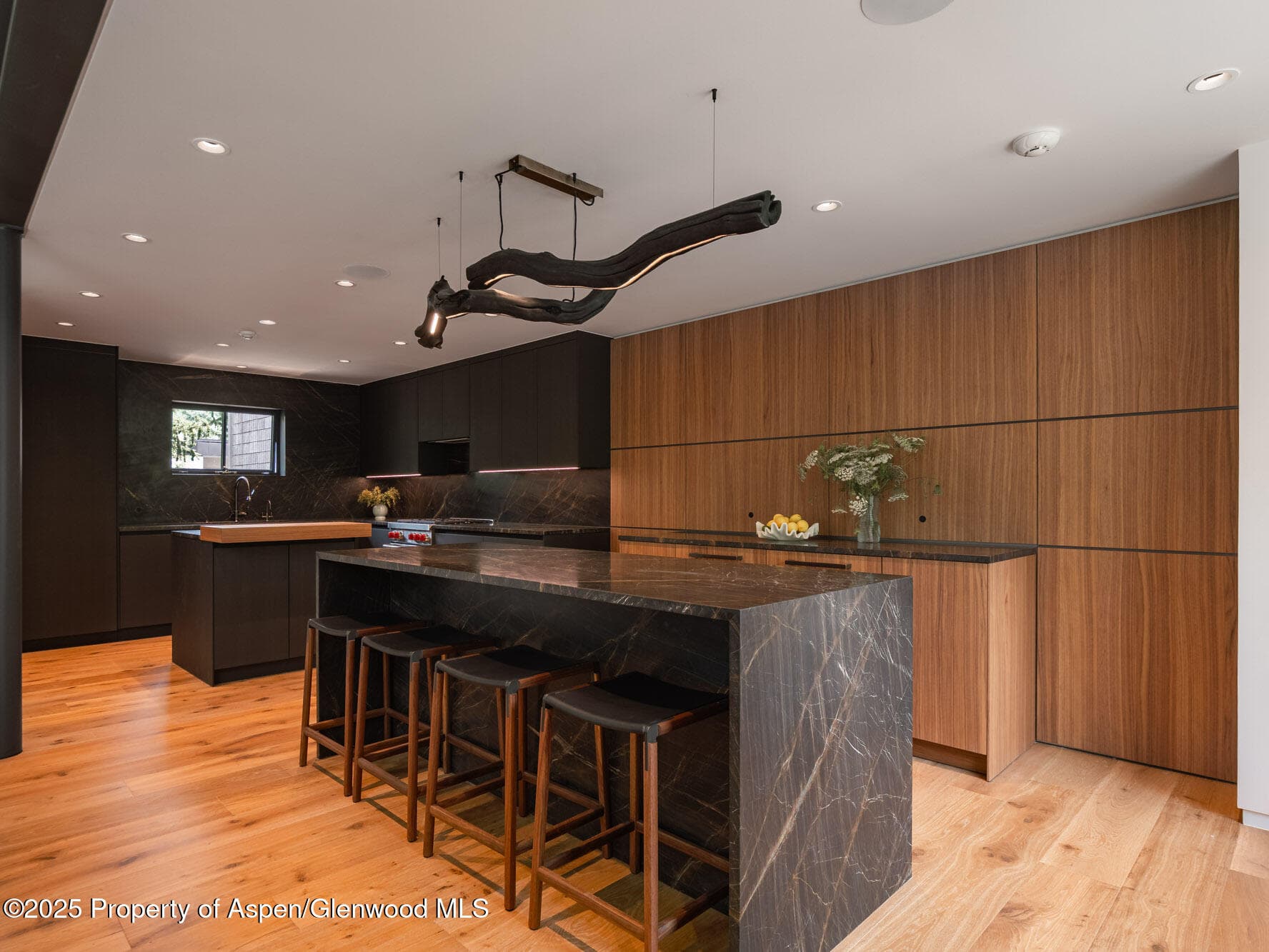 624 E Hopkins Avenue, Aspen, CO 81611 - Photo 11