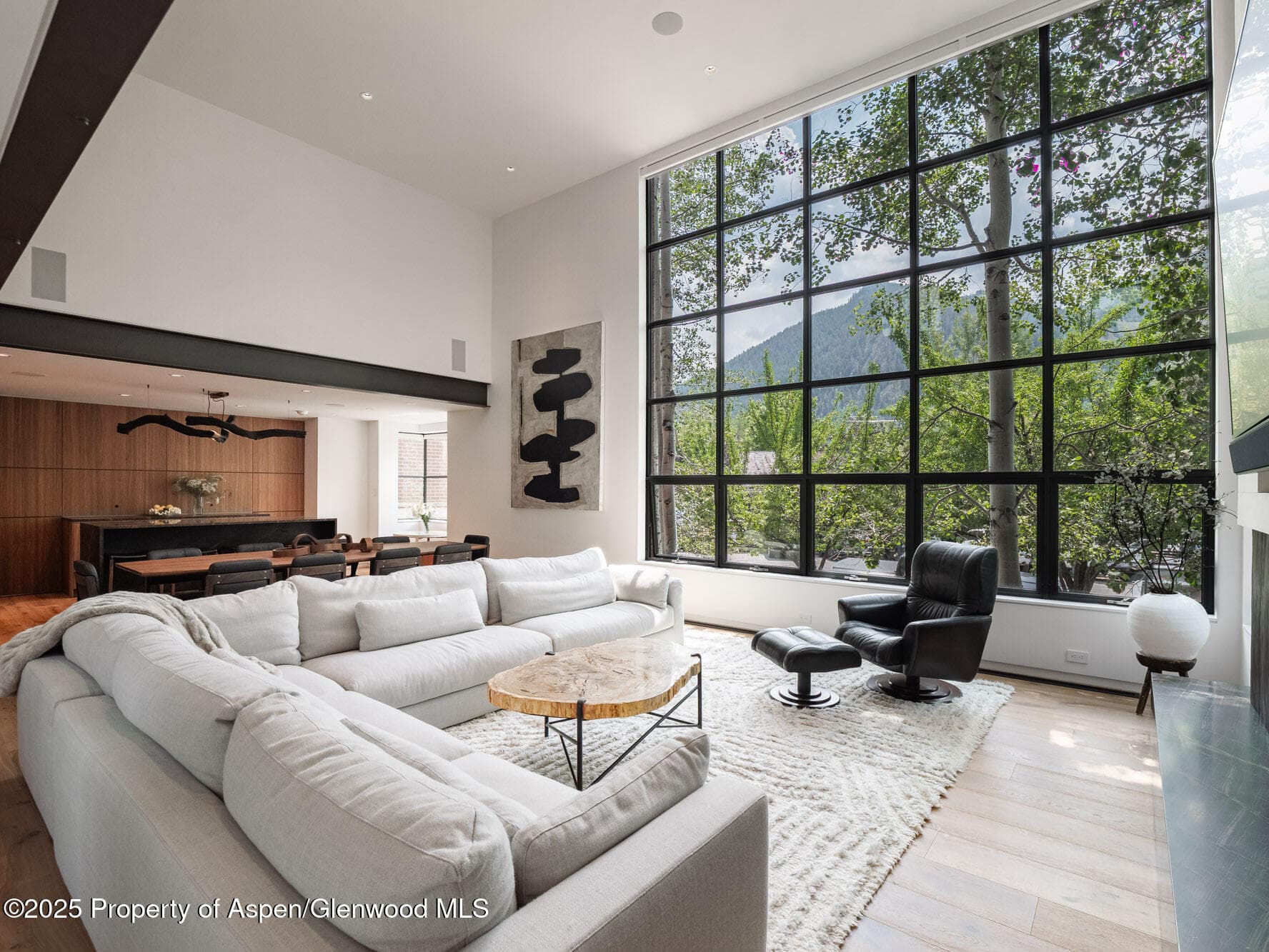 624 E Hopkins Avenue, Aspen, CO 81611 - Photo 6