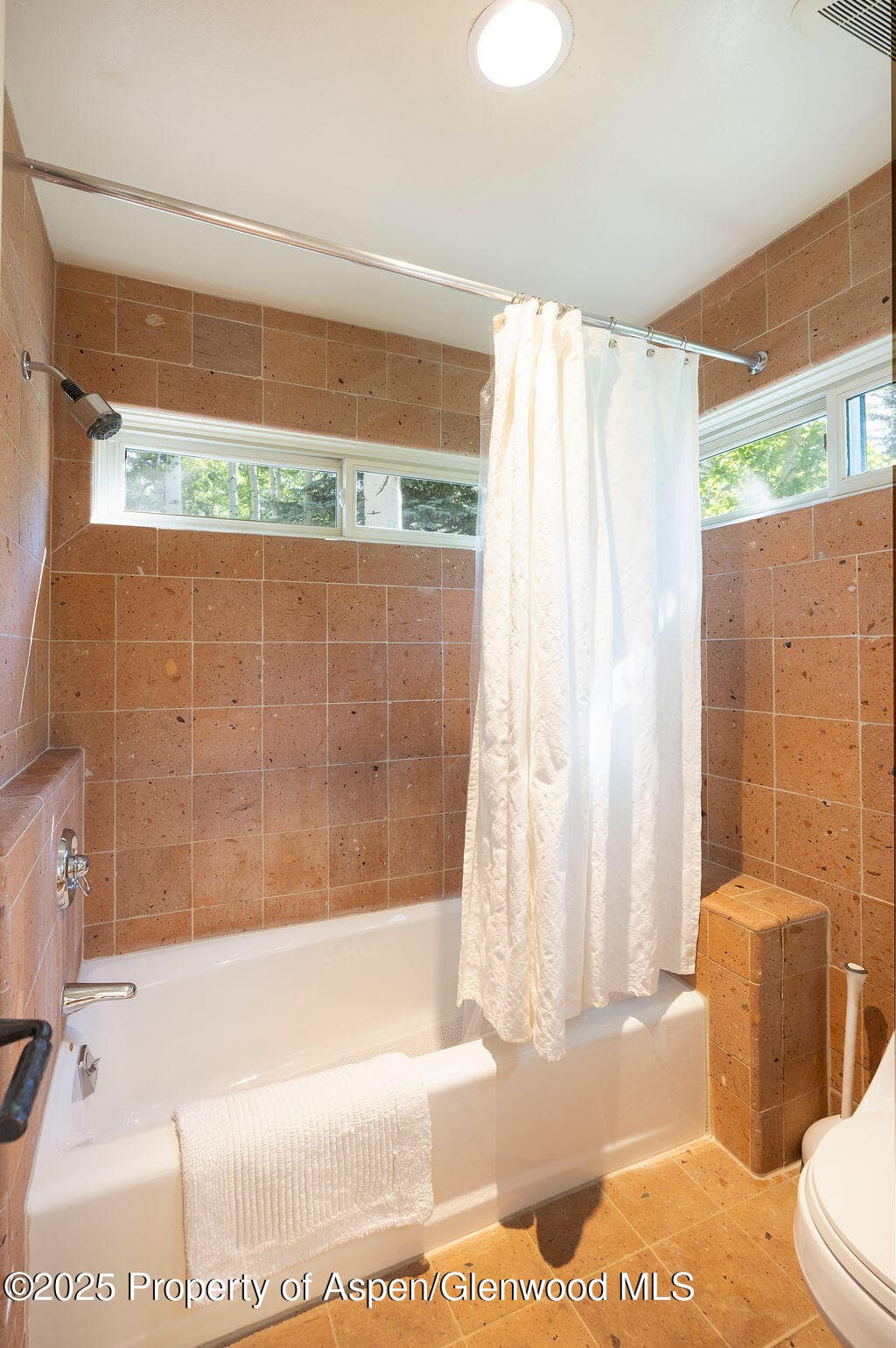 109 Neale Avenue, Aspen, CO 81611 - Photo 12