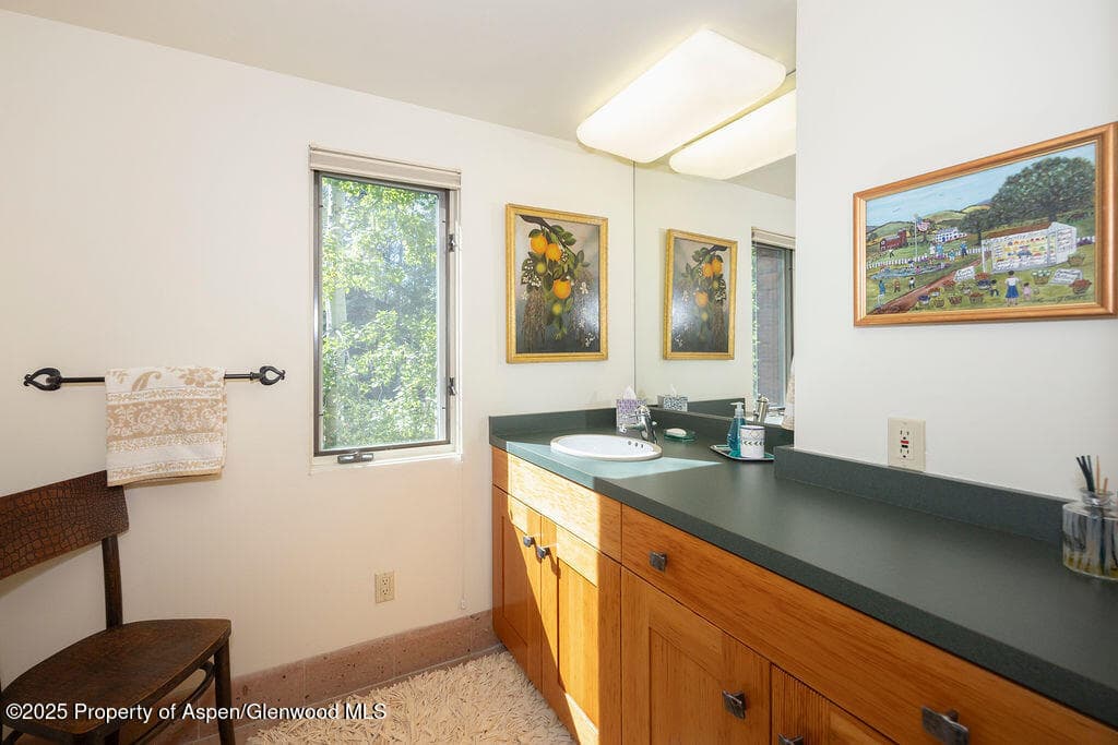 109 Neale Avenue, Aspen, CO 81611 - Photo 14