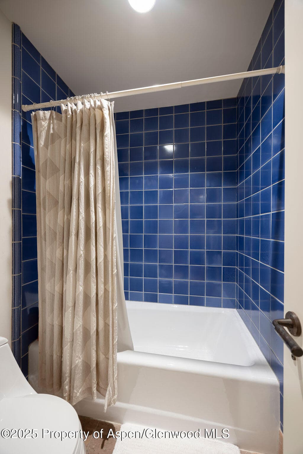 109 Neale Avenue, Aspen, CO 81611 - Photo 32