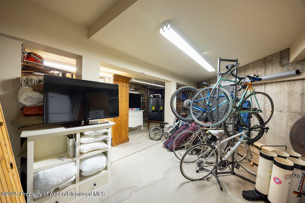 109 Neale Avenue, Aspen, CO 81611 - Photo 35