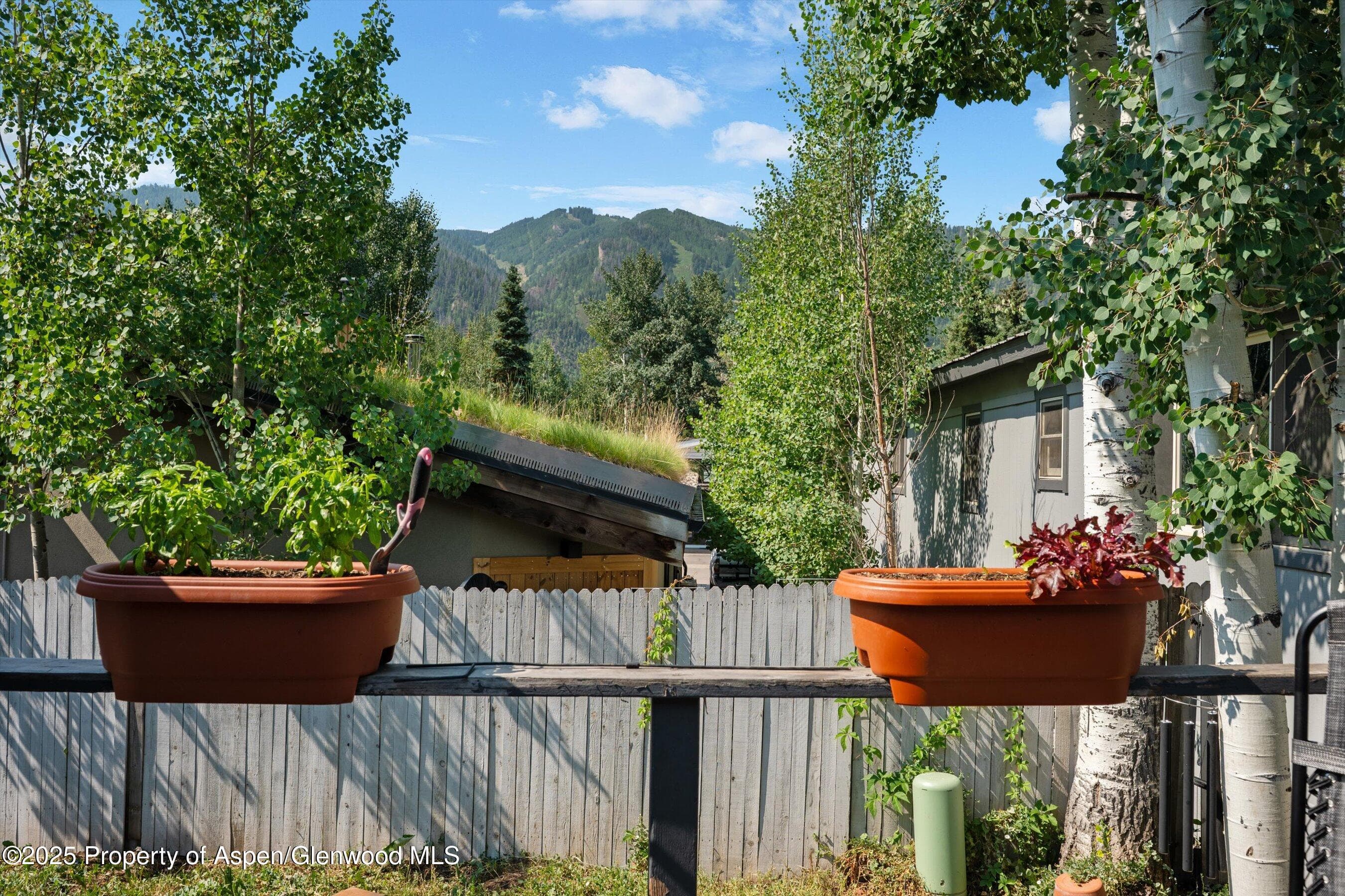 306 Oak Lane, Aspen, CO 81611 - Photo 19