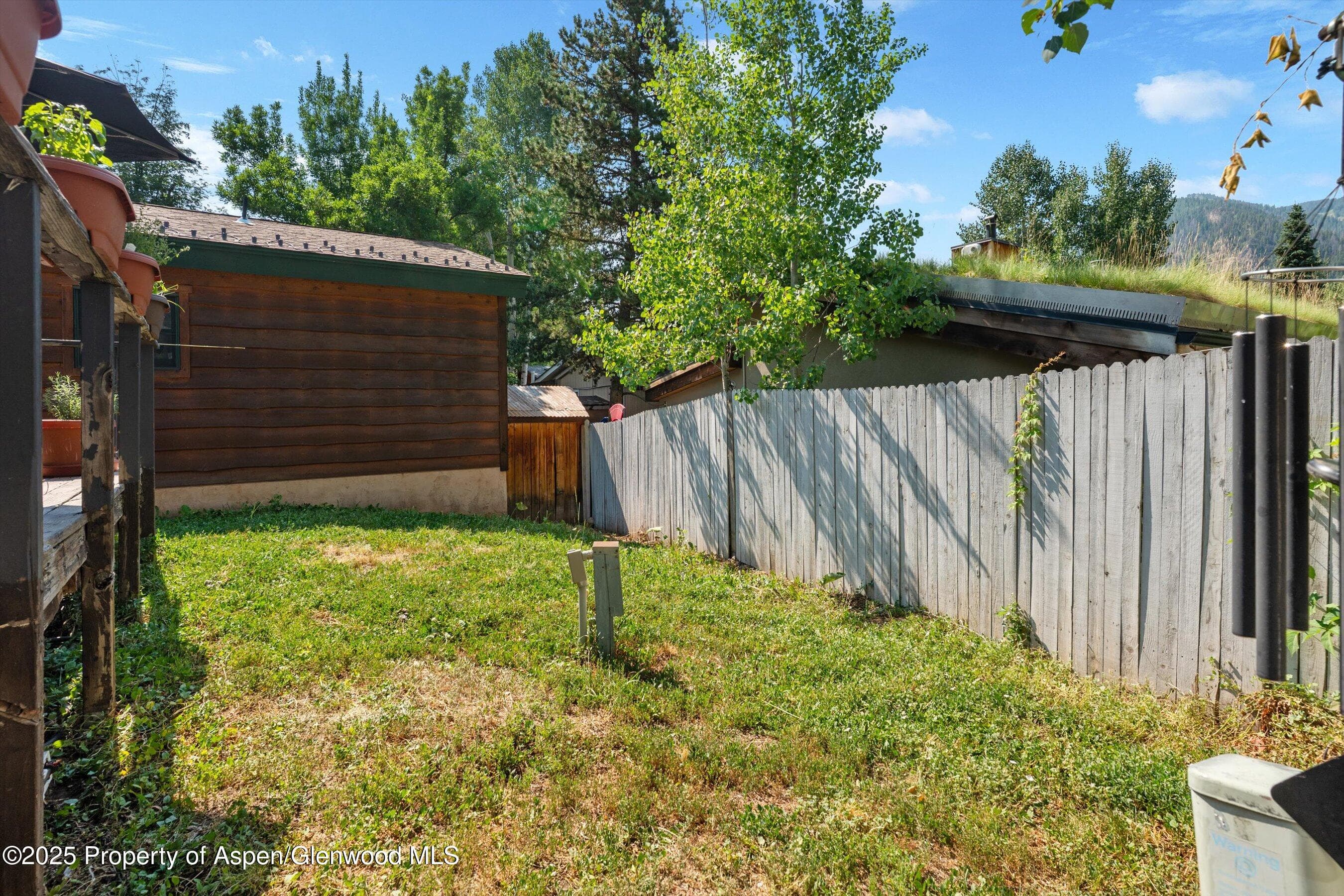 306 Oak Lane, Aspen, CO 81611 - Photo 21