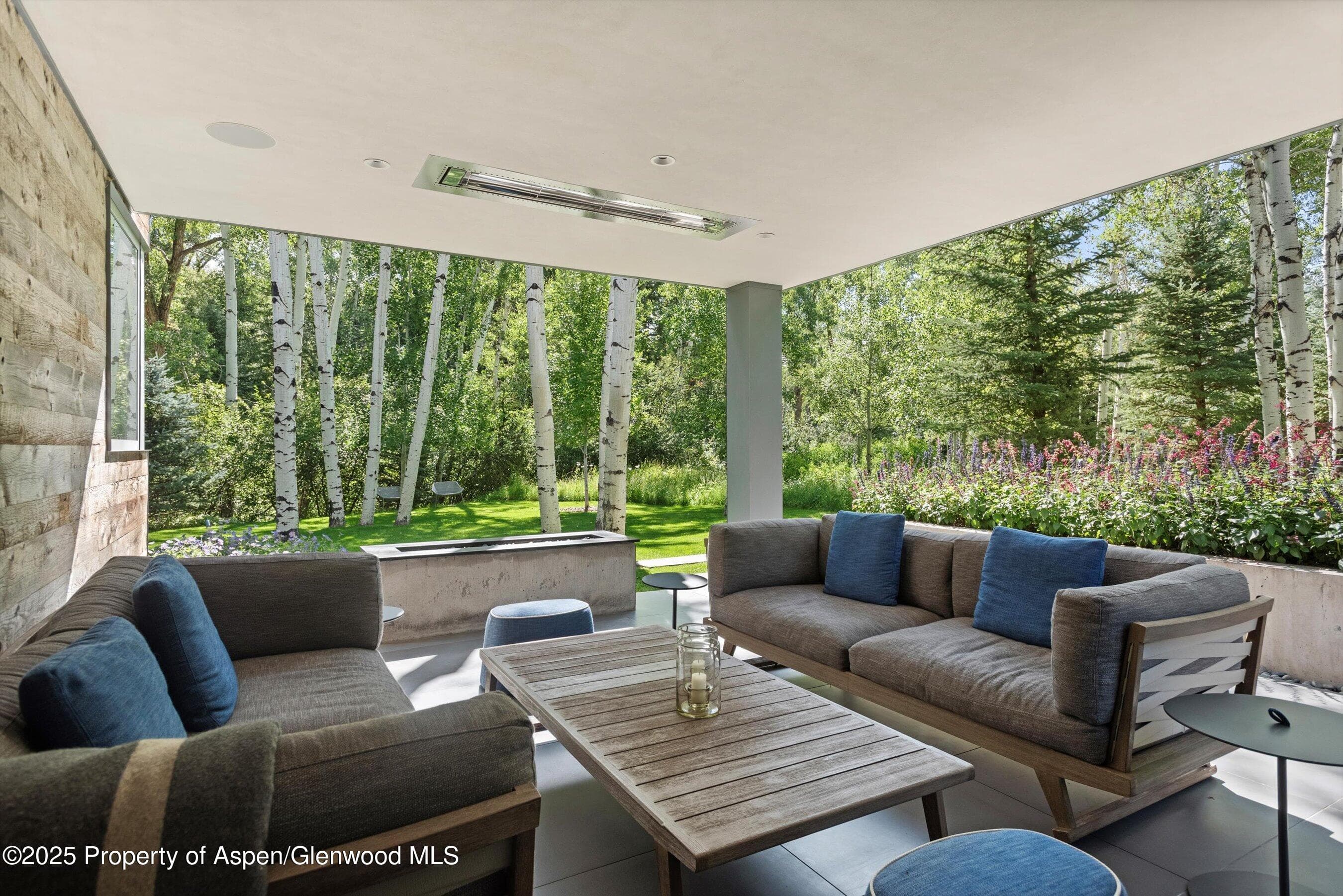 1180 Black Birch Drive, Aspen, CO 81611 - Photo 17