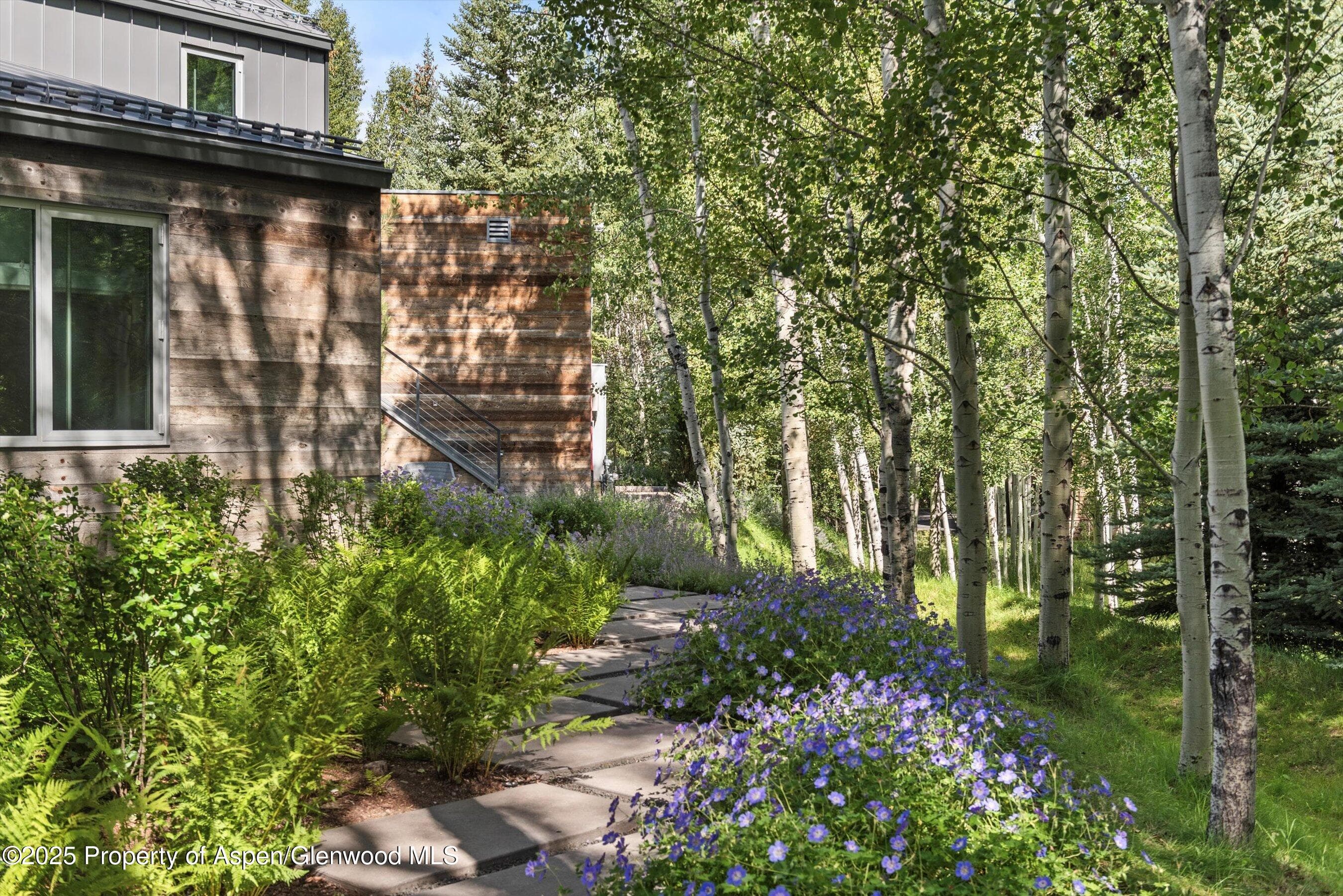 1180 Black Birch Drive, Aspen, CO 81611 - Photo 23