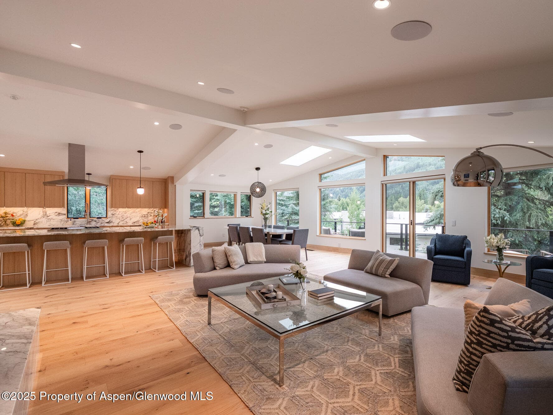 51 Roaring Fork Drive, Aspen, CO 81611 - Photo 11