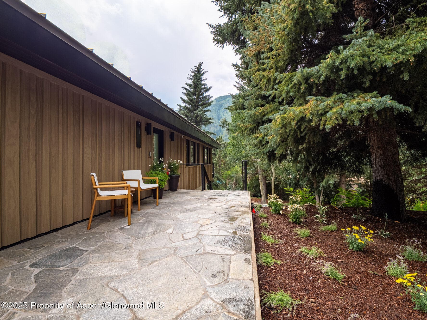 51 Roaring Fork Drive, Aspen, CO 81611 - Photo 2