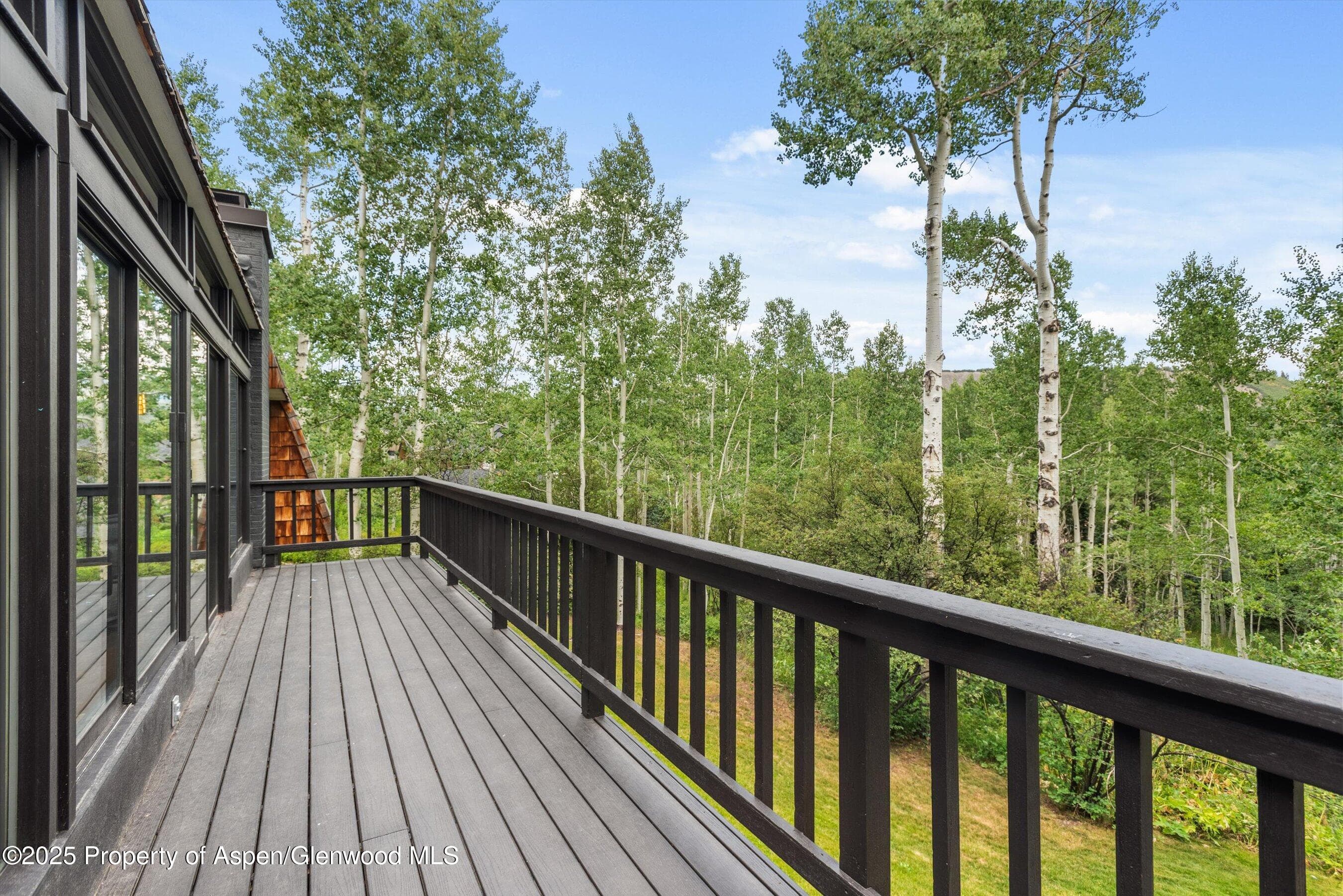 49 Elk Ridge Lane, Snowmass Village, CO 81615 - Photo 43