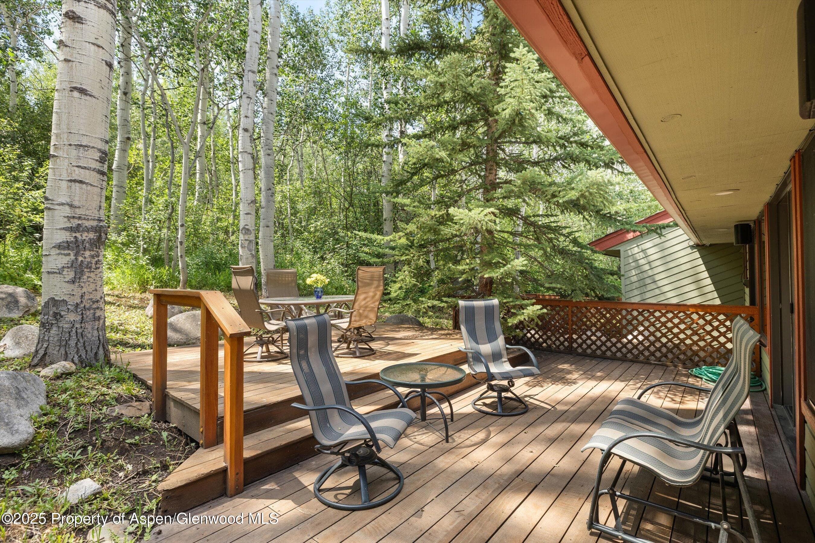 11 Valley View Road, Snowmass Village, CO 81615 - Photo 3