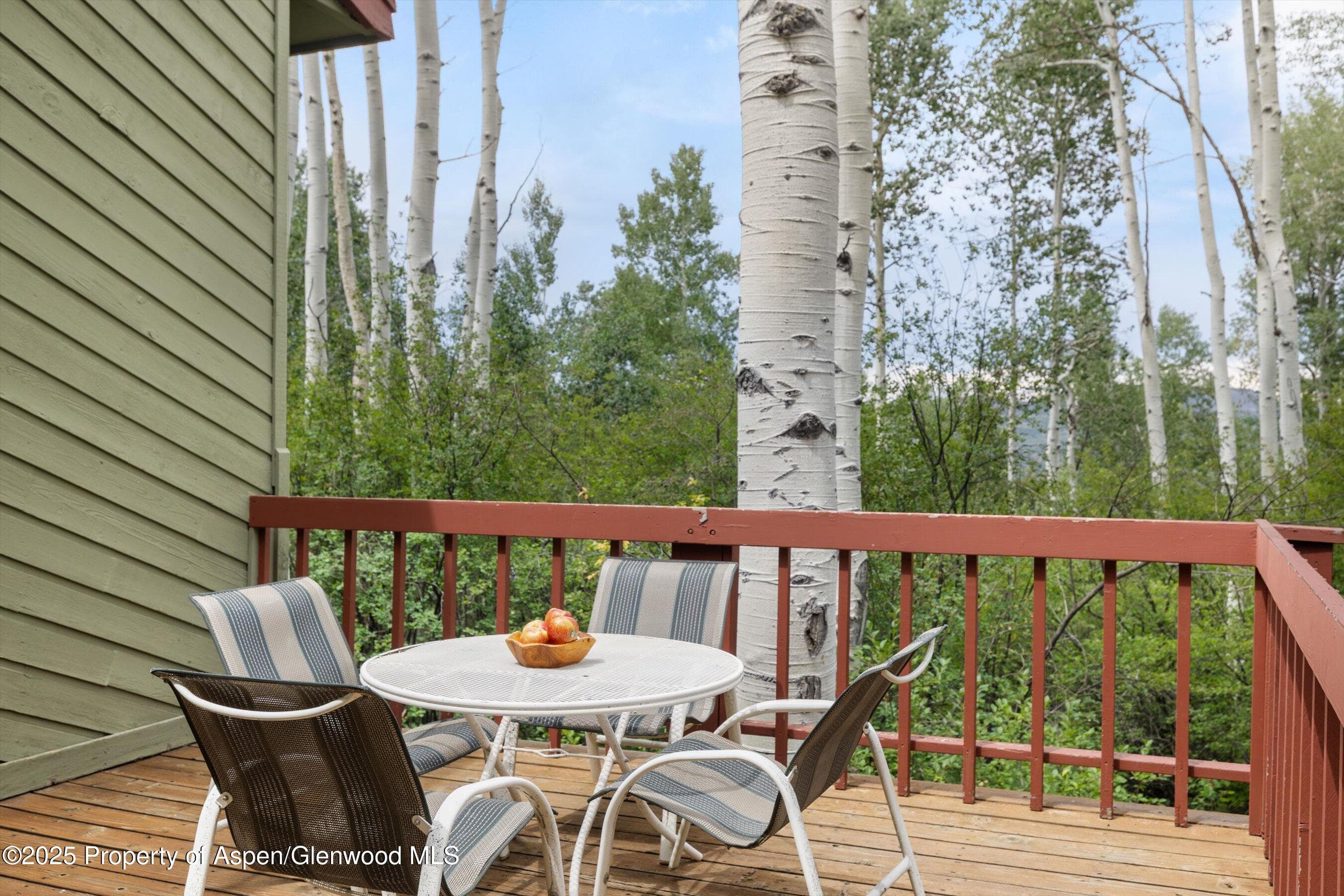 11 Valley View Road, Snowmass Village, CO 81615 - Photo 39