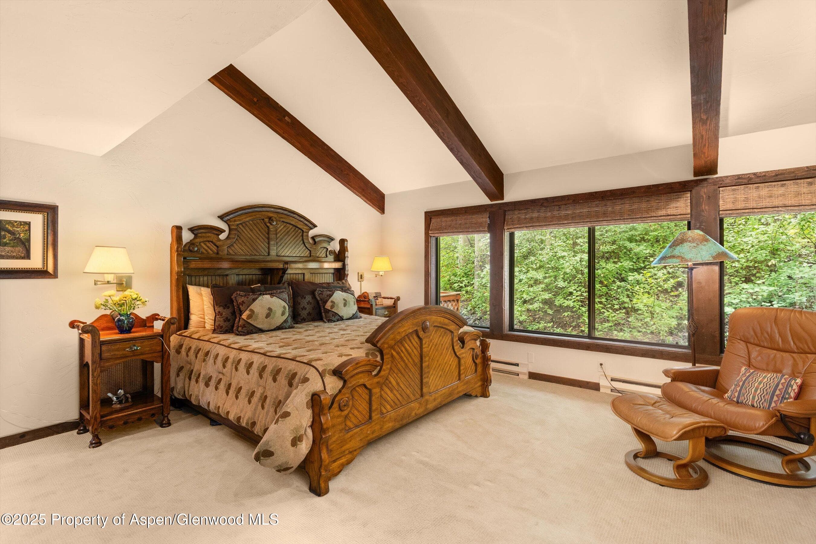11 Valley View Road, Snowmass Village, CO 81615 - Photo 16