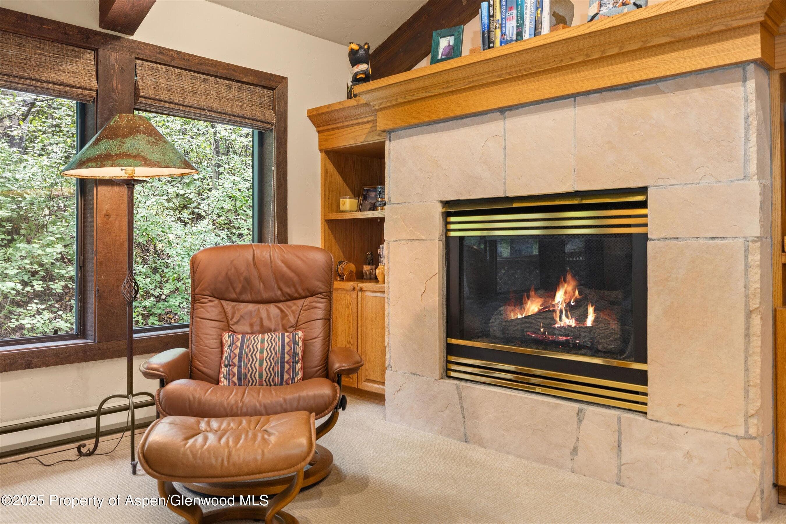11 Valley View Road, Snowmass Village, CO 81615 - Photo 17