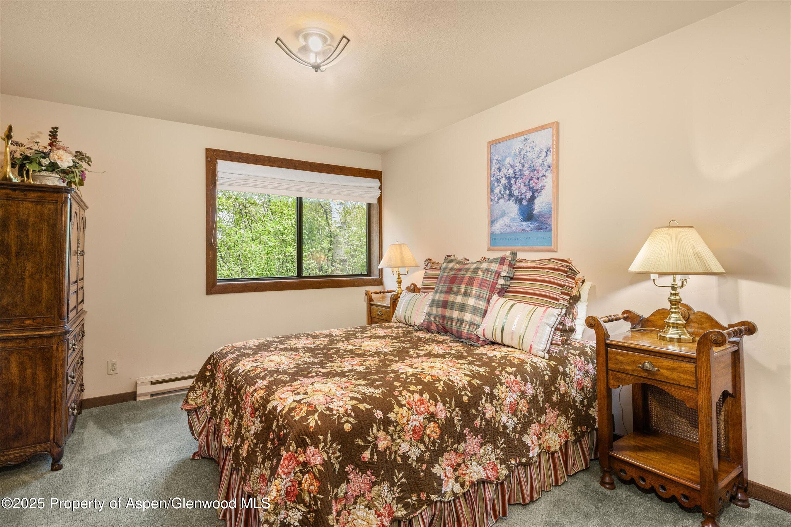 11 Valley View Road, Snowmass Village, CO 81615 - Photo 20