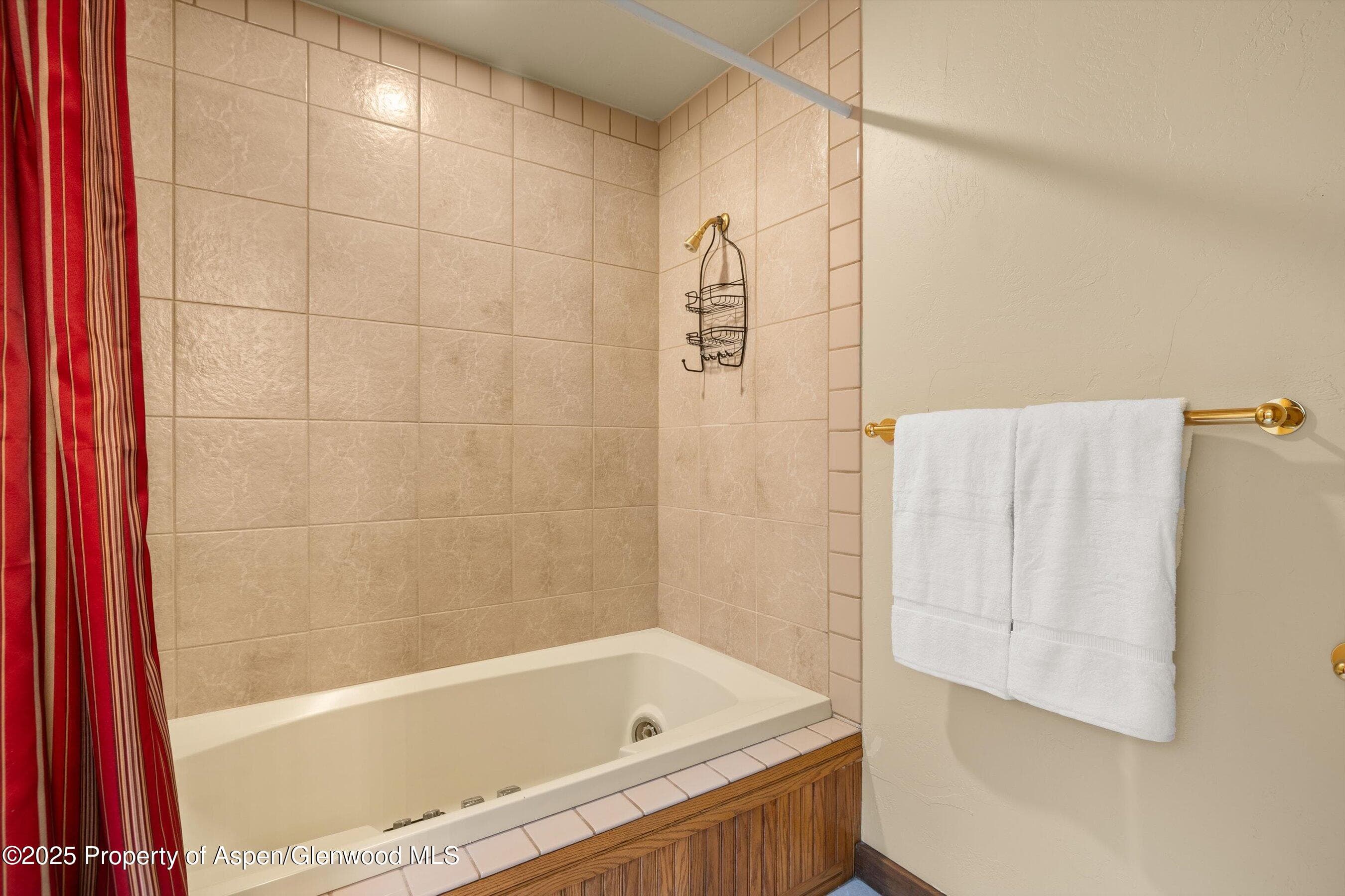 11 Valley View Road, Snowmass Village, CO 81615 - Photo 37