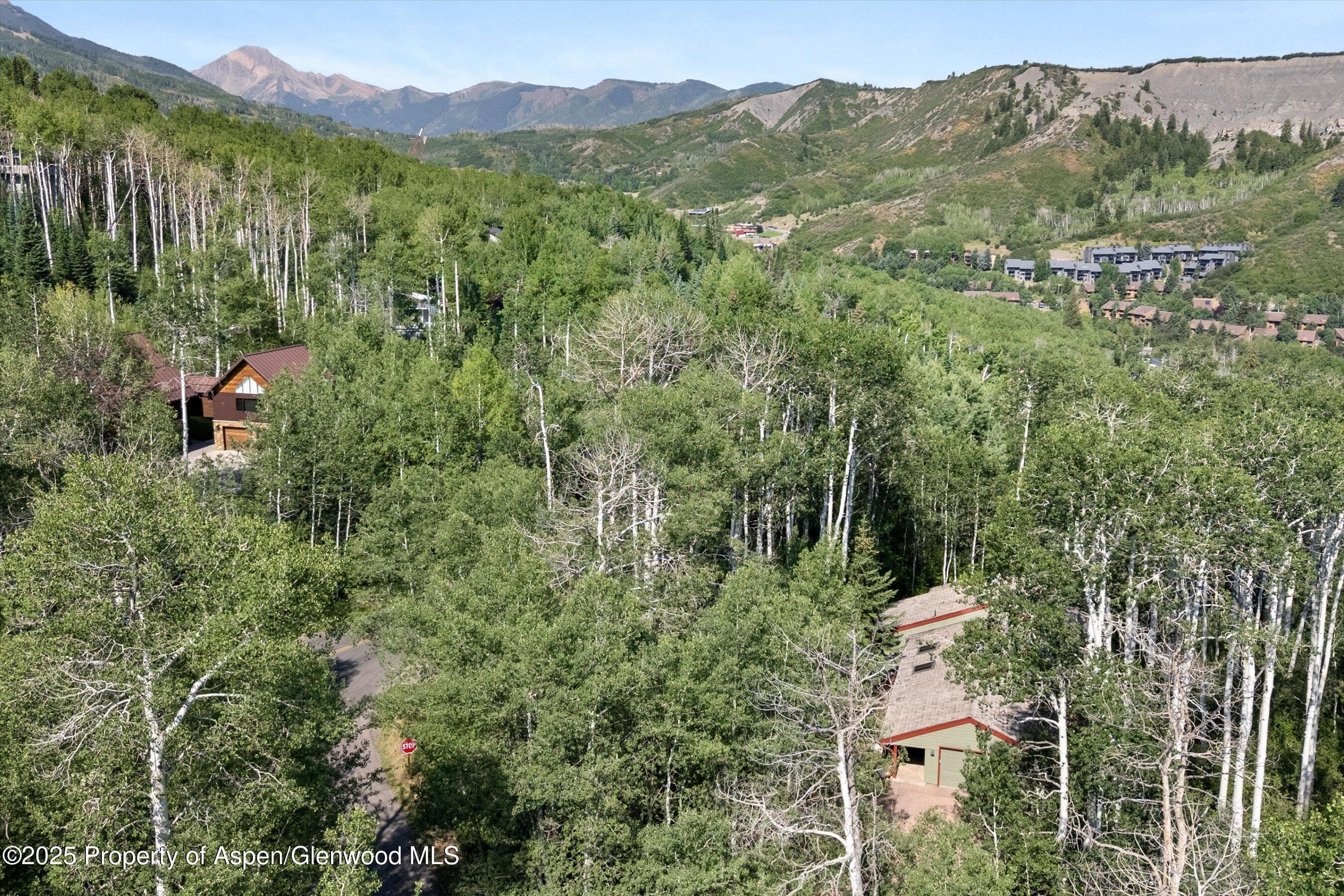 11 Valley View Road, Snowmass Village, CO 81615 - Photo 43