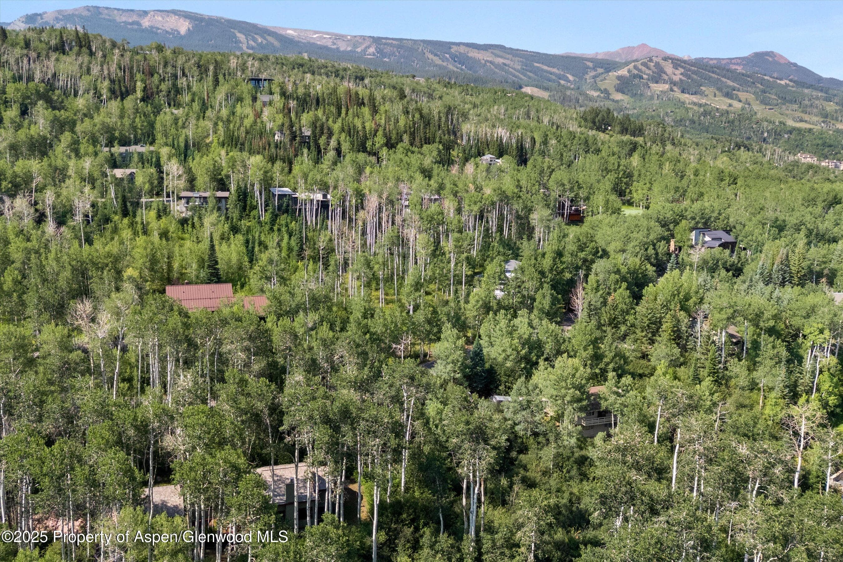 11 Valley View Road, Snowmass Village, CO 81615 - Photo 44