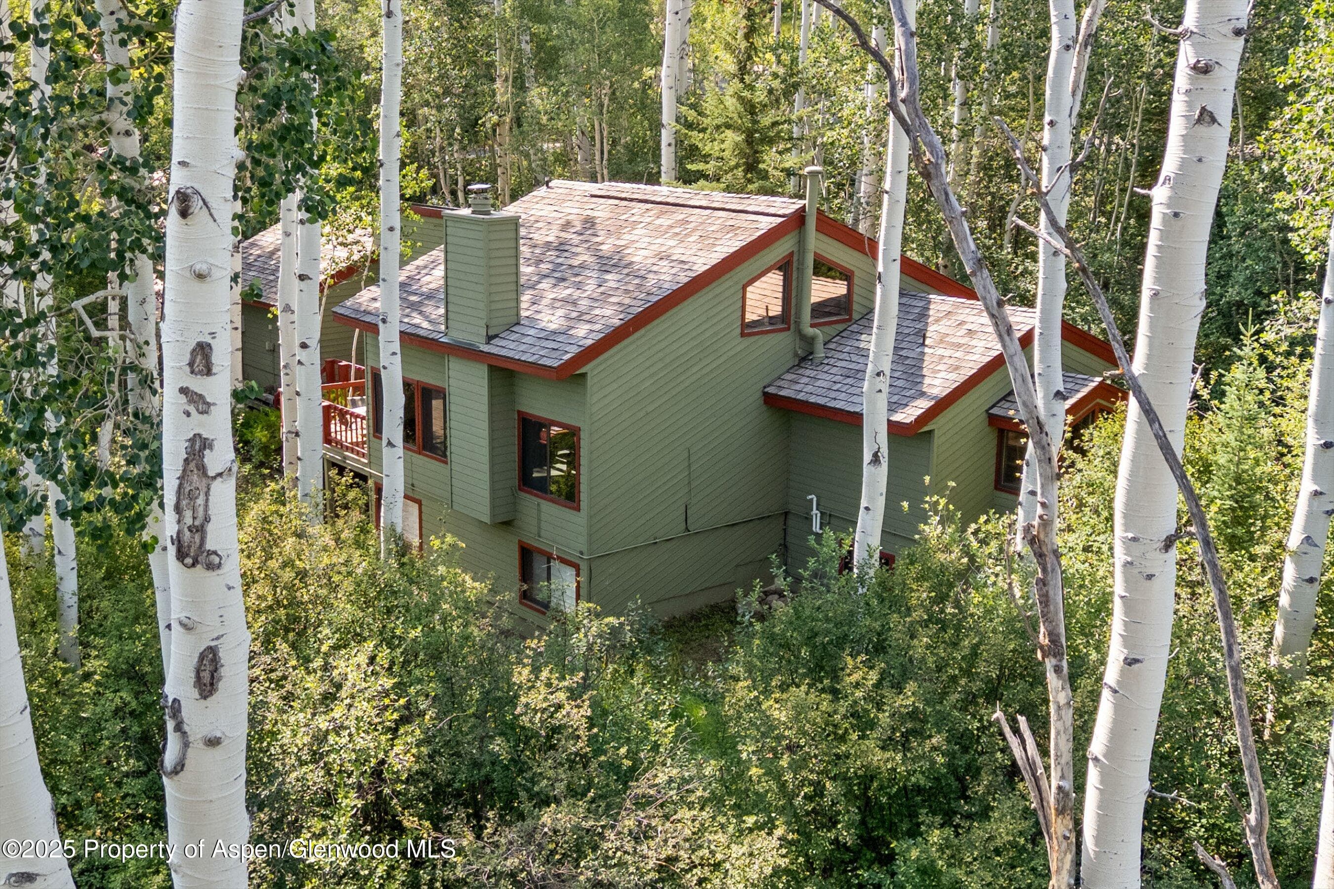 11 Valley View Road, Snowmass Village, CO 81615 - Photo 46