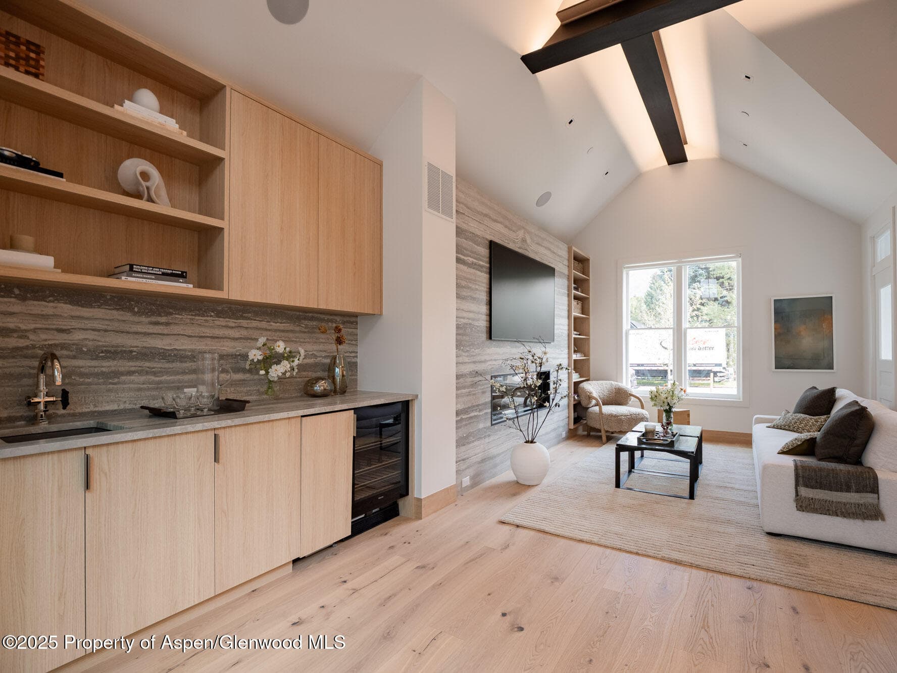 227 E Main Street, Aspen, CO 81611 - Photo 10