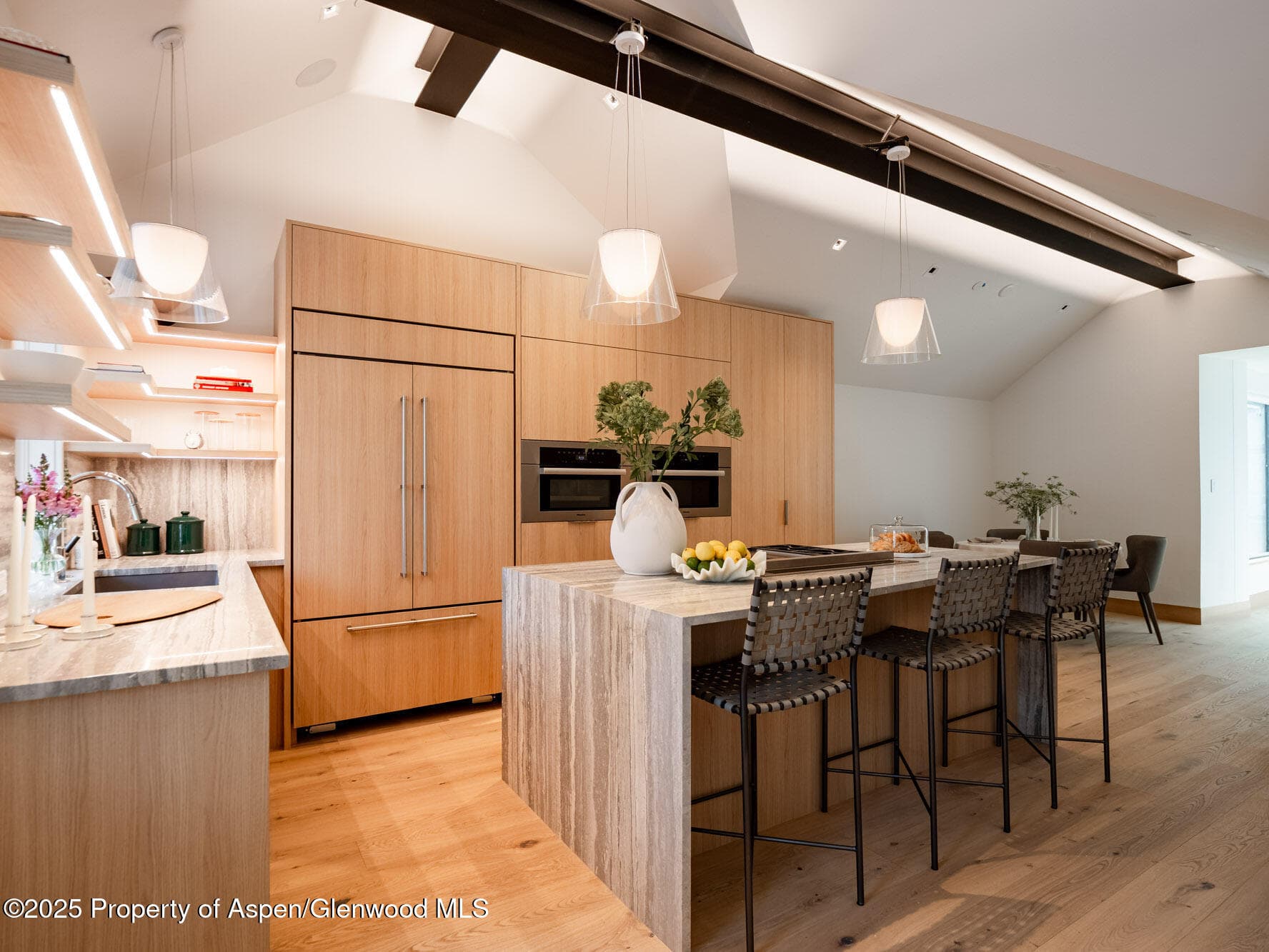227 E Main Street, Aspen, CO 81611 - Photo 5