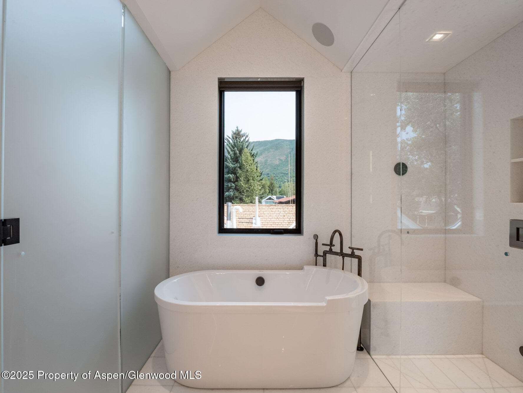 227 E Main Street, Aspen, CO 81611 - Photo 23