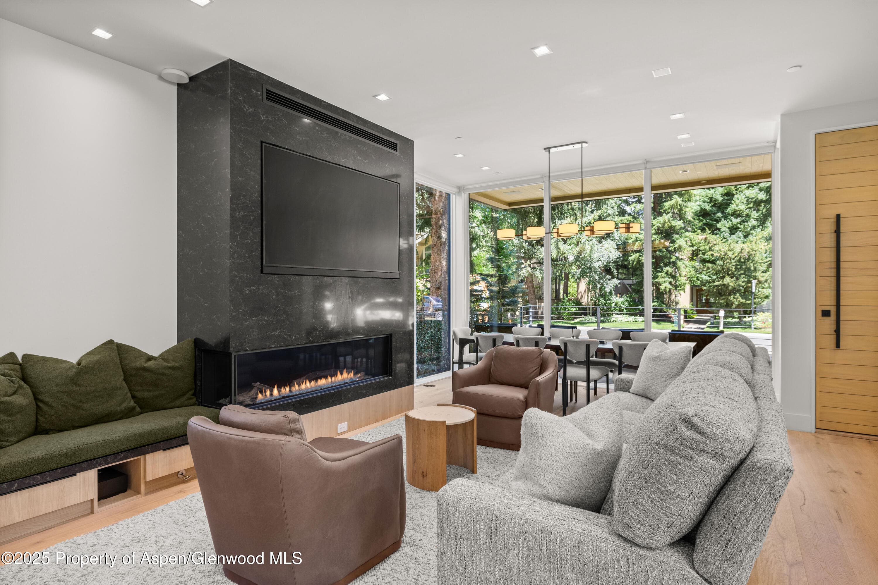 219 W Bleeker Street, Aspen, CO 81611 - Photo 8