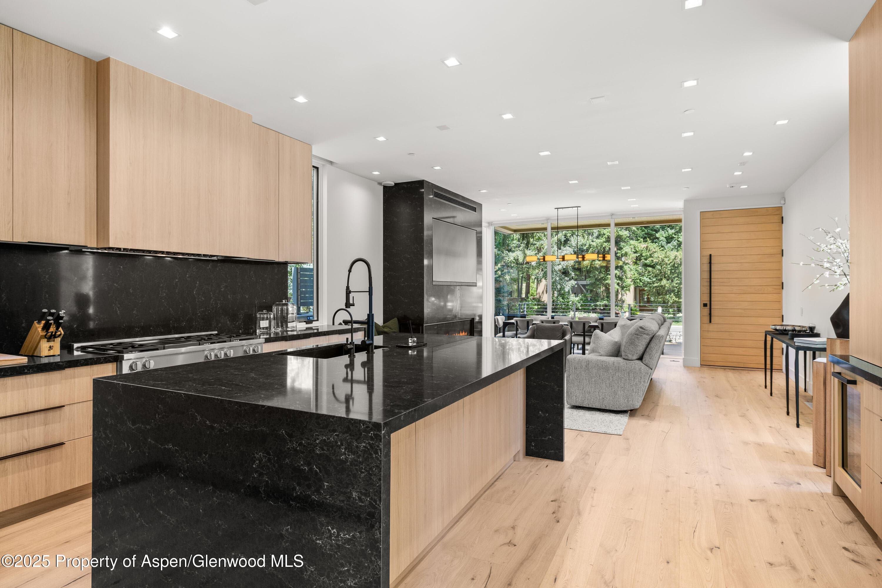 219 W Bleeker Street, Aspen, CO 81611 - Photo 11
