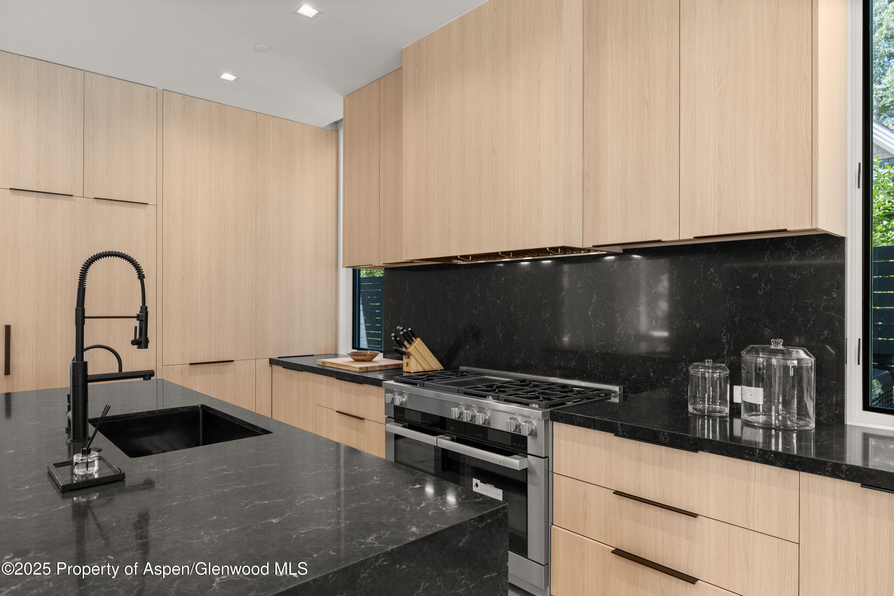 219 W Bleeker Street, Aspen, CO 81611 - Photo 13