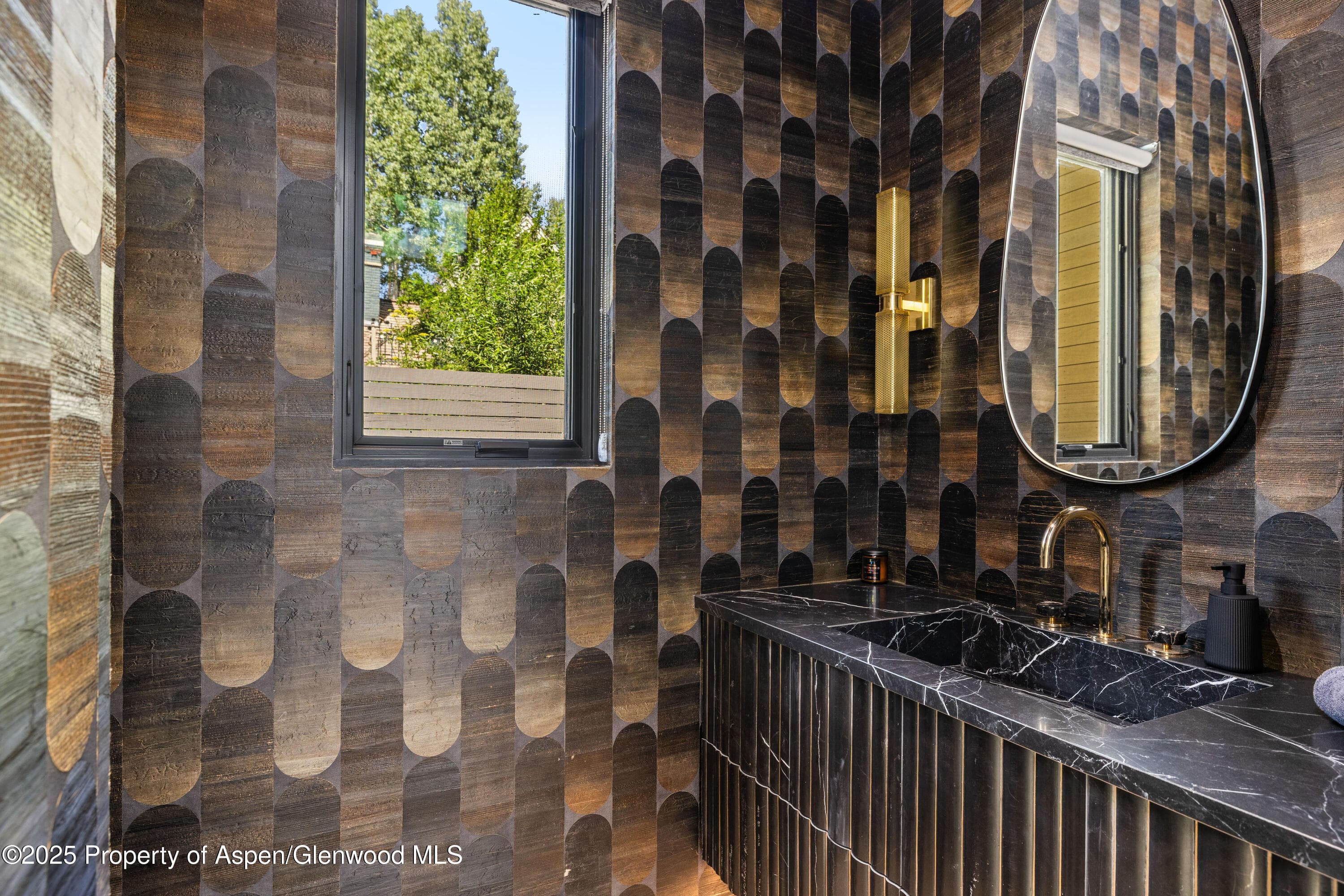 219 W Bleeker Street, Aspen, CO 81611 - Photo 15