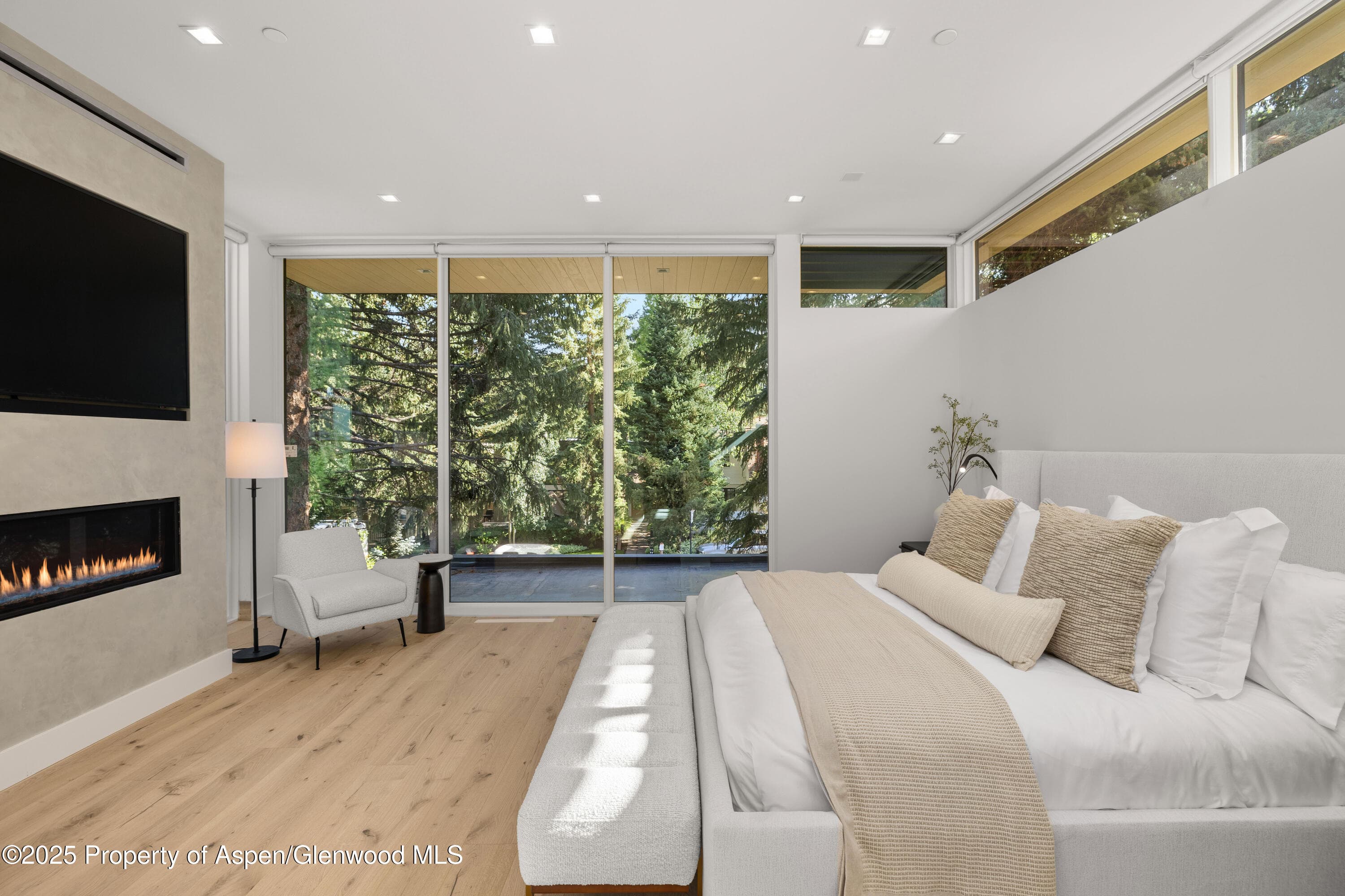 219 W Bleeker Street, Aspen, CO 81611 - Photo 18