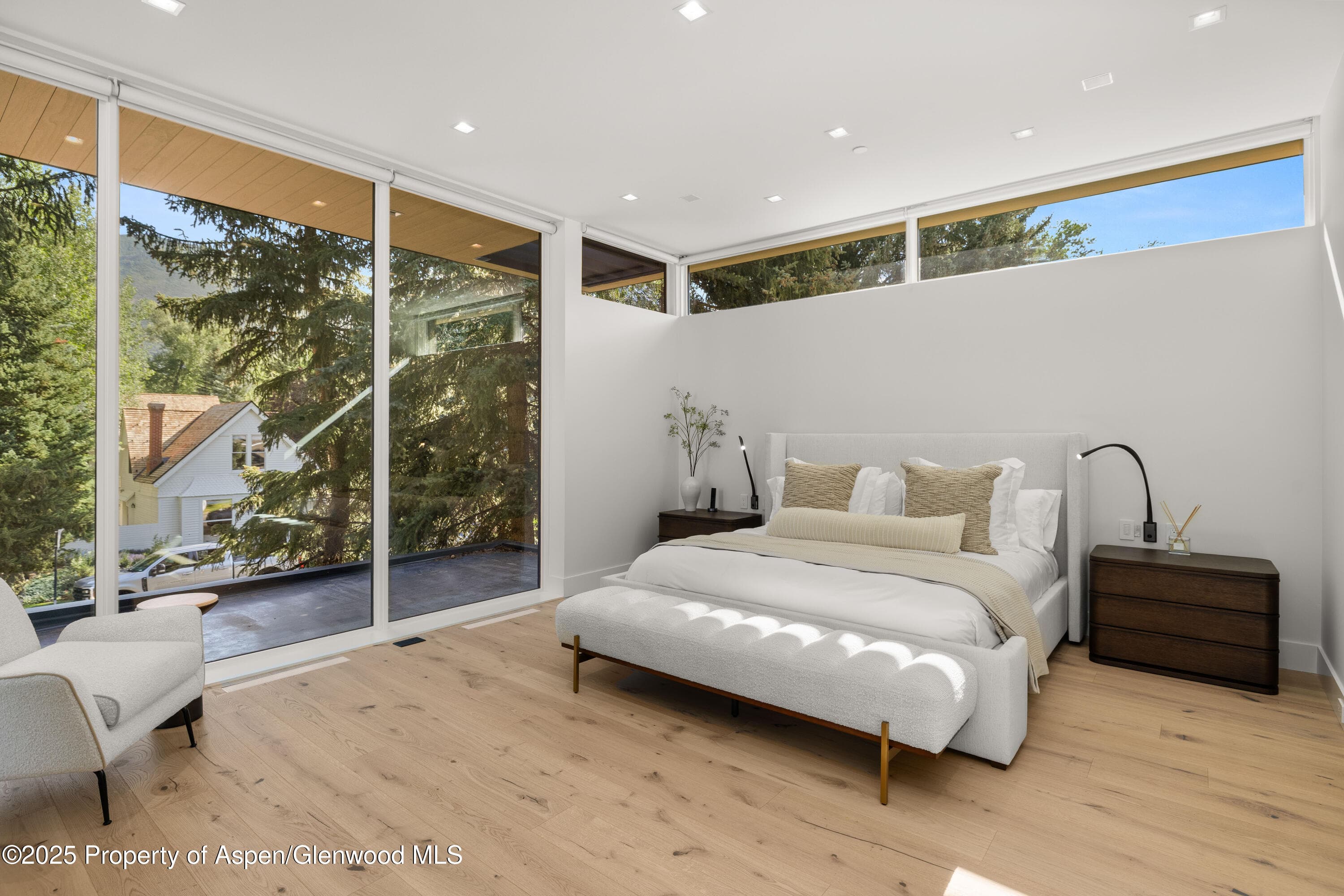 219 W Bleeker Street, Aspen, CO 81611 - Photo 19