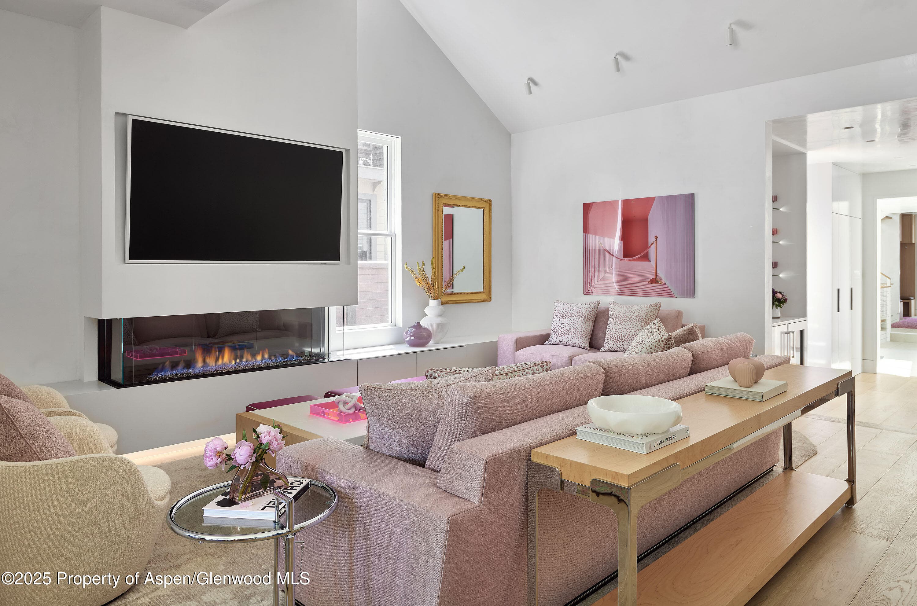 227 E Bleeker Street, Aspen, CO 81611 - Photo 19