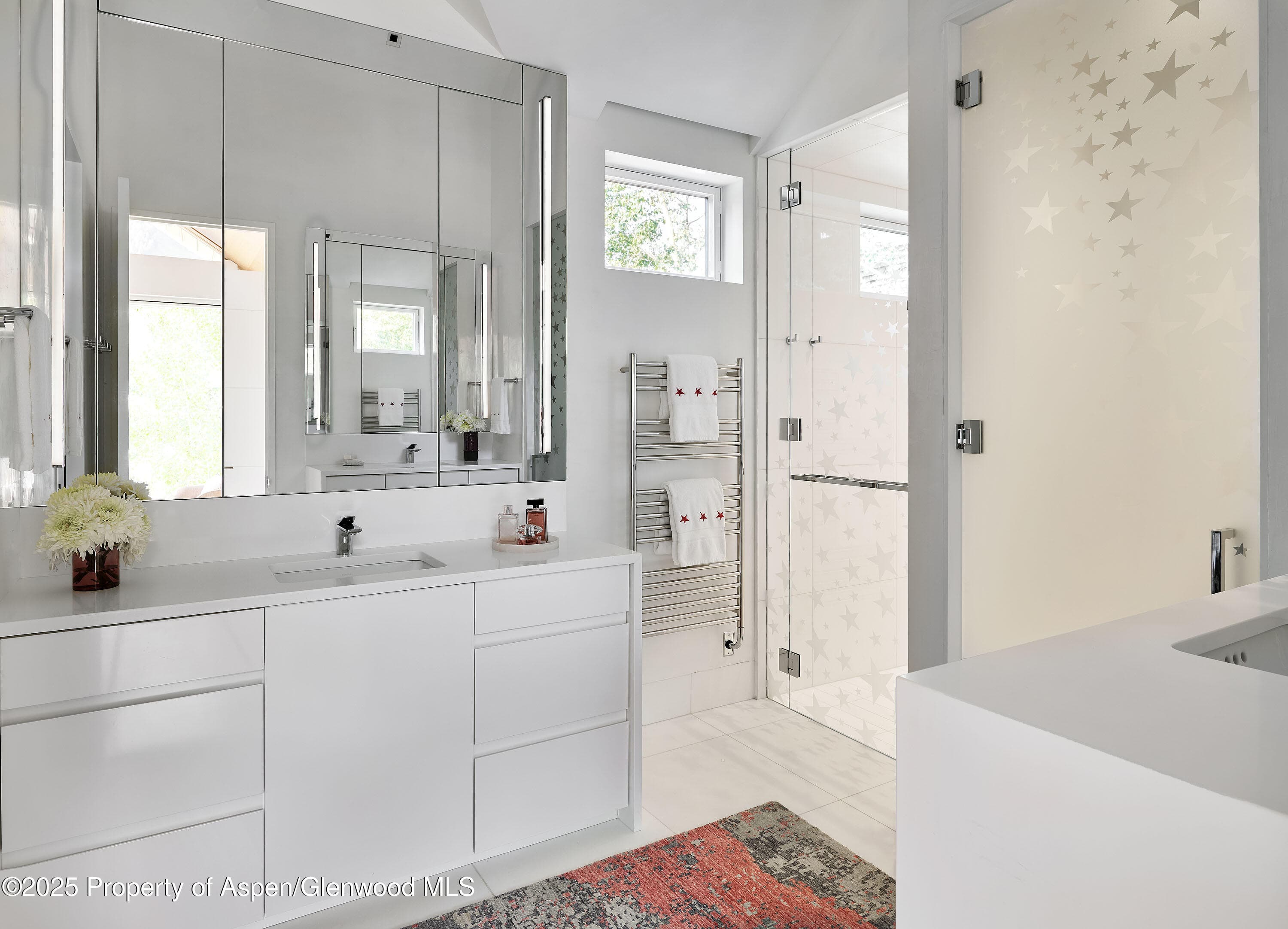 227 E Bleeker Street, Aspen, CO 81611 - Photo 35