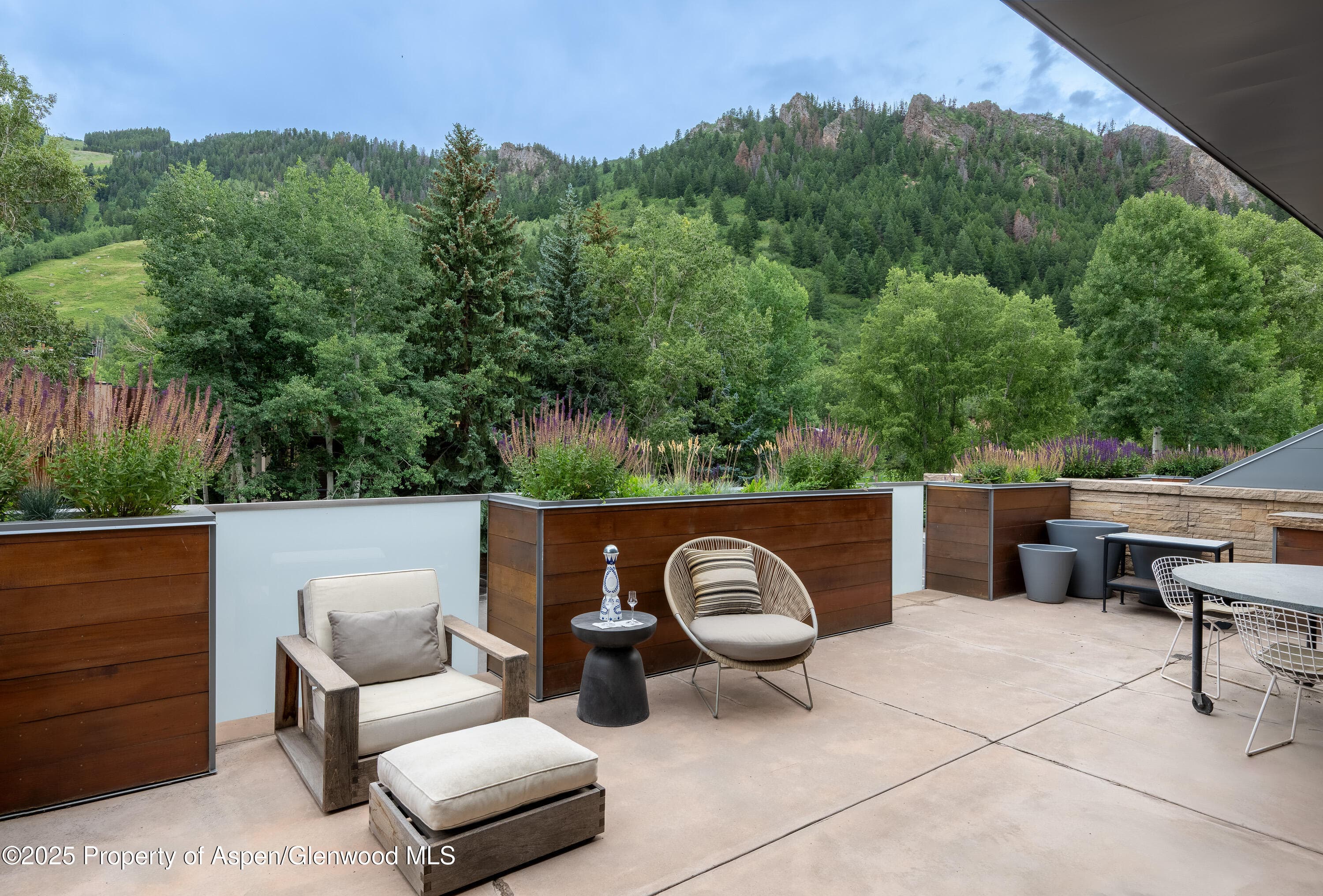 100 E Cooper Avenue 11, Aspen, CO 81611 - Photo 2