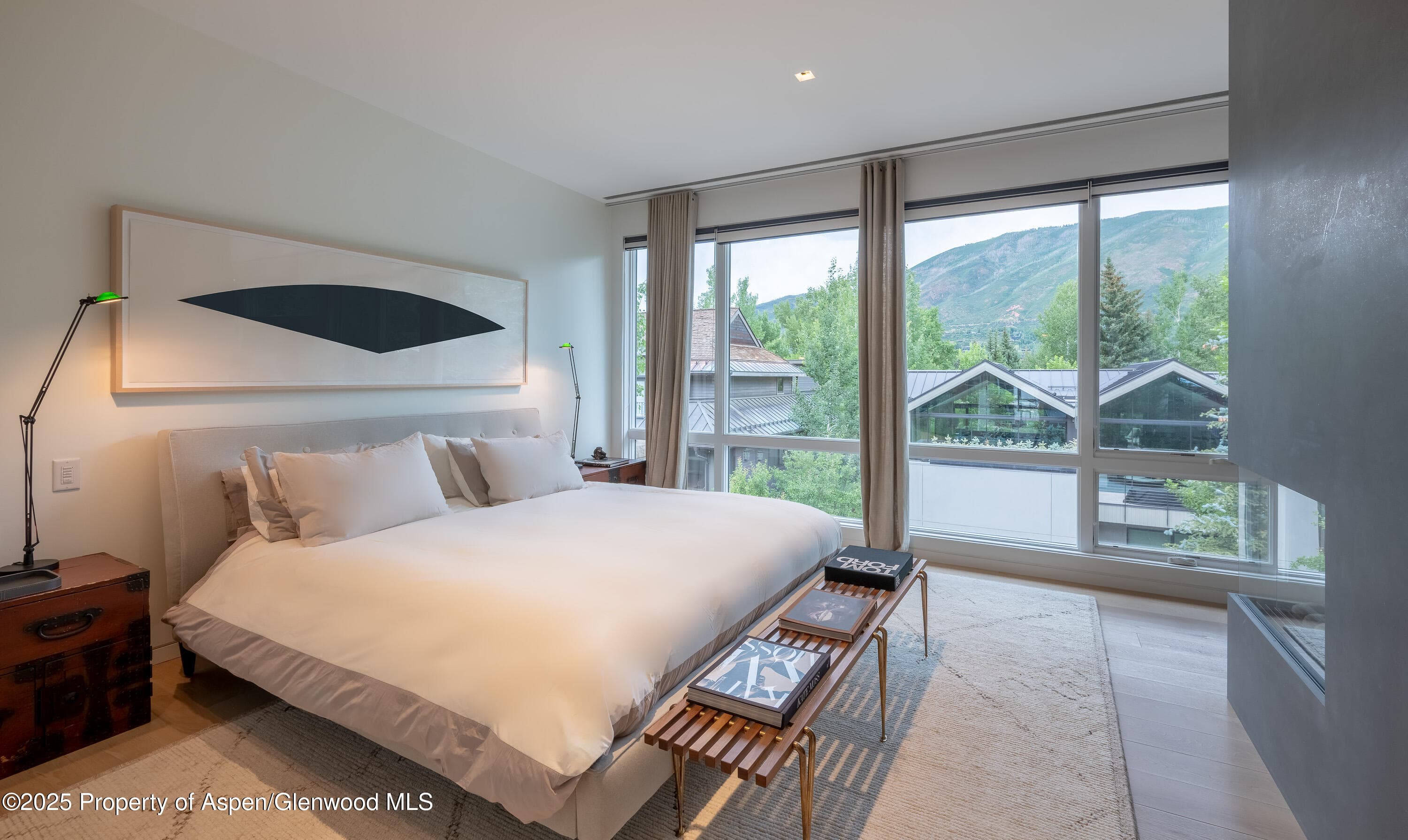 100 E Cooper Avenue 11, Aspen, CO 81611 - Photo 22