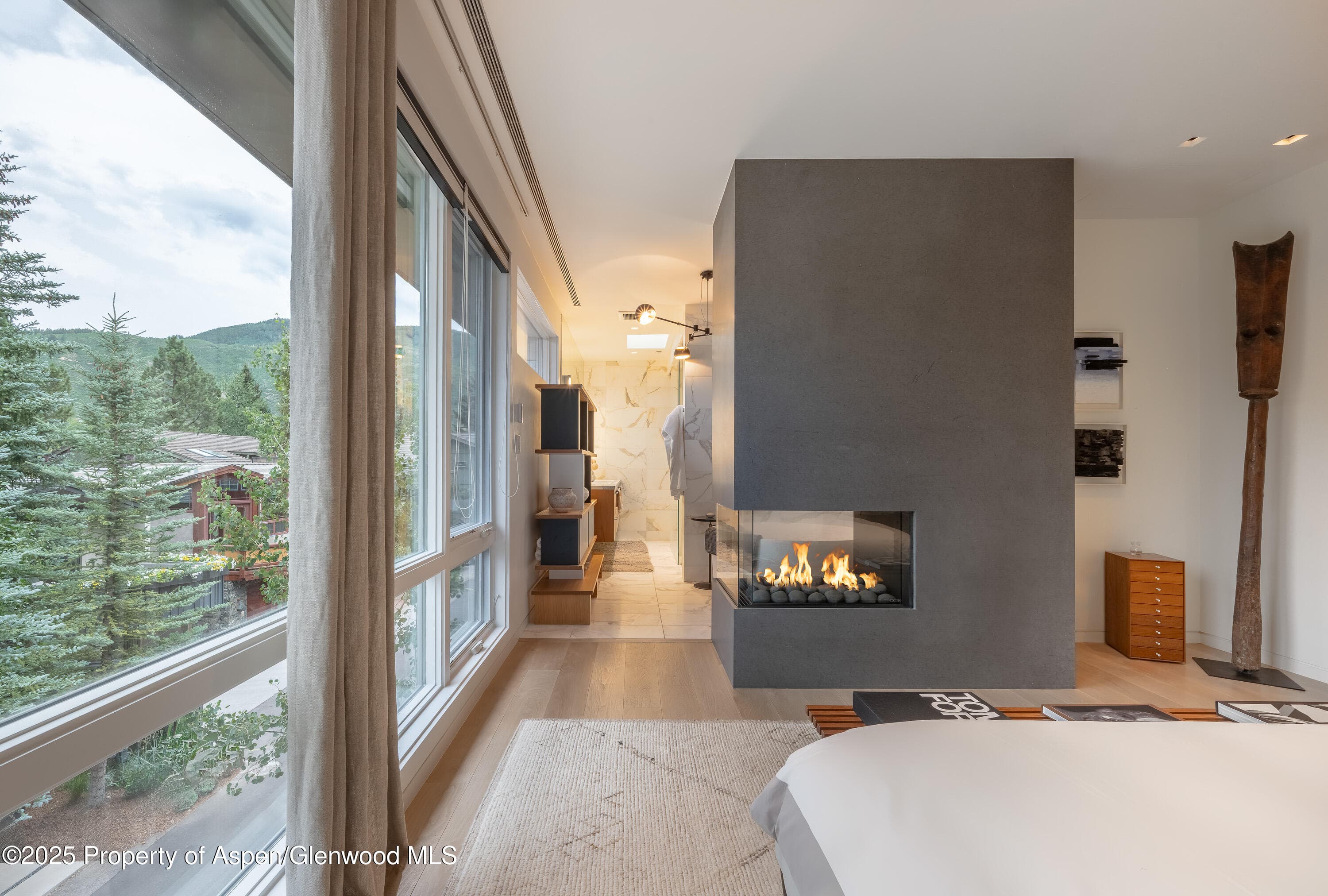 100 E Cooper Avenue 11, Aspen, CO 81611 - Photo 24
