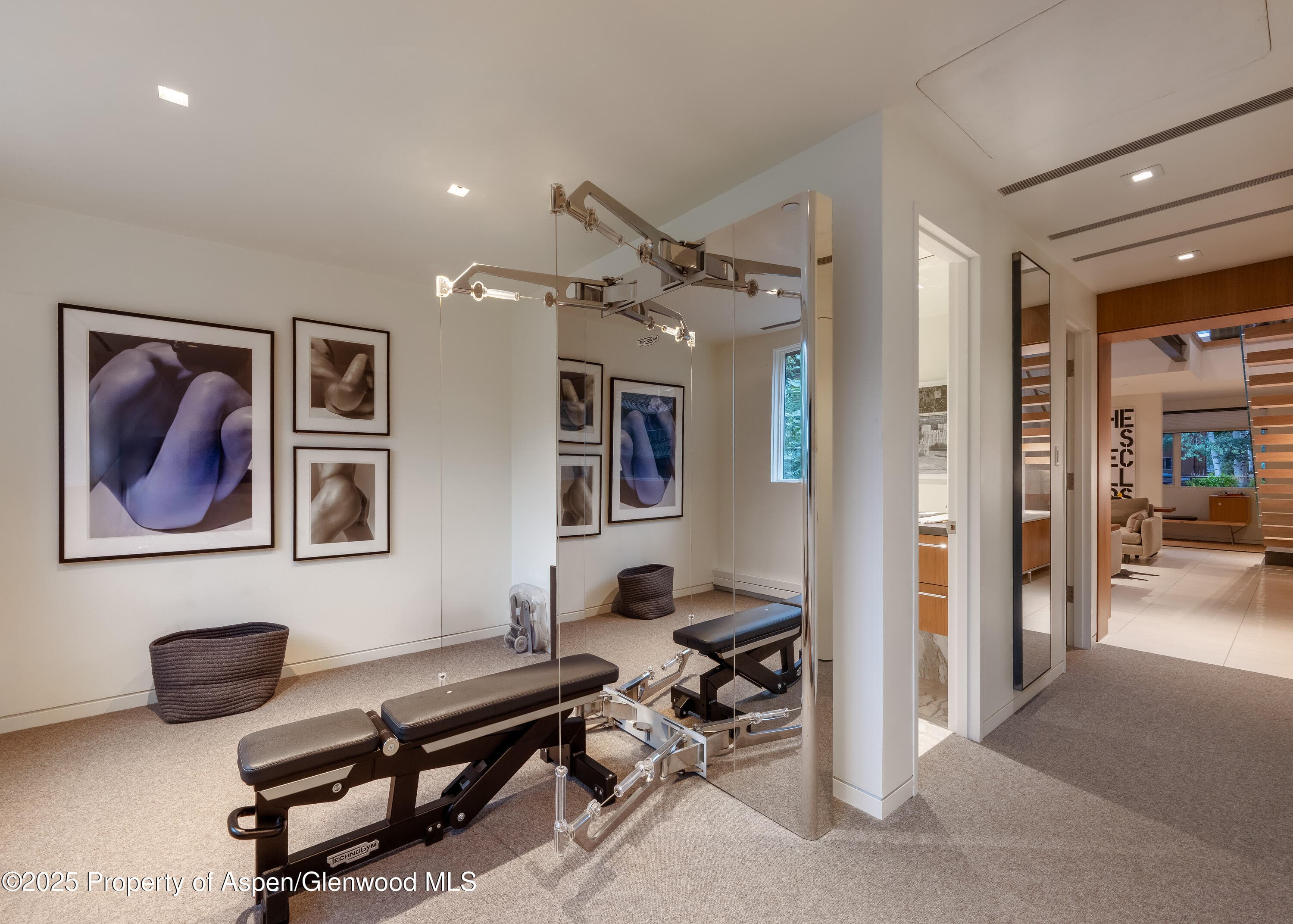 100 E Cooper Avenue 11, Aspen, CO 81611 - Photo 35