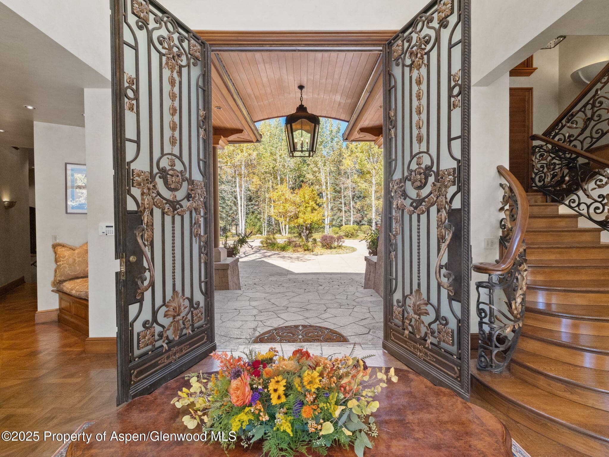 715 Willoughby Way, Aspen, CO 81611 - Photo 3