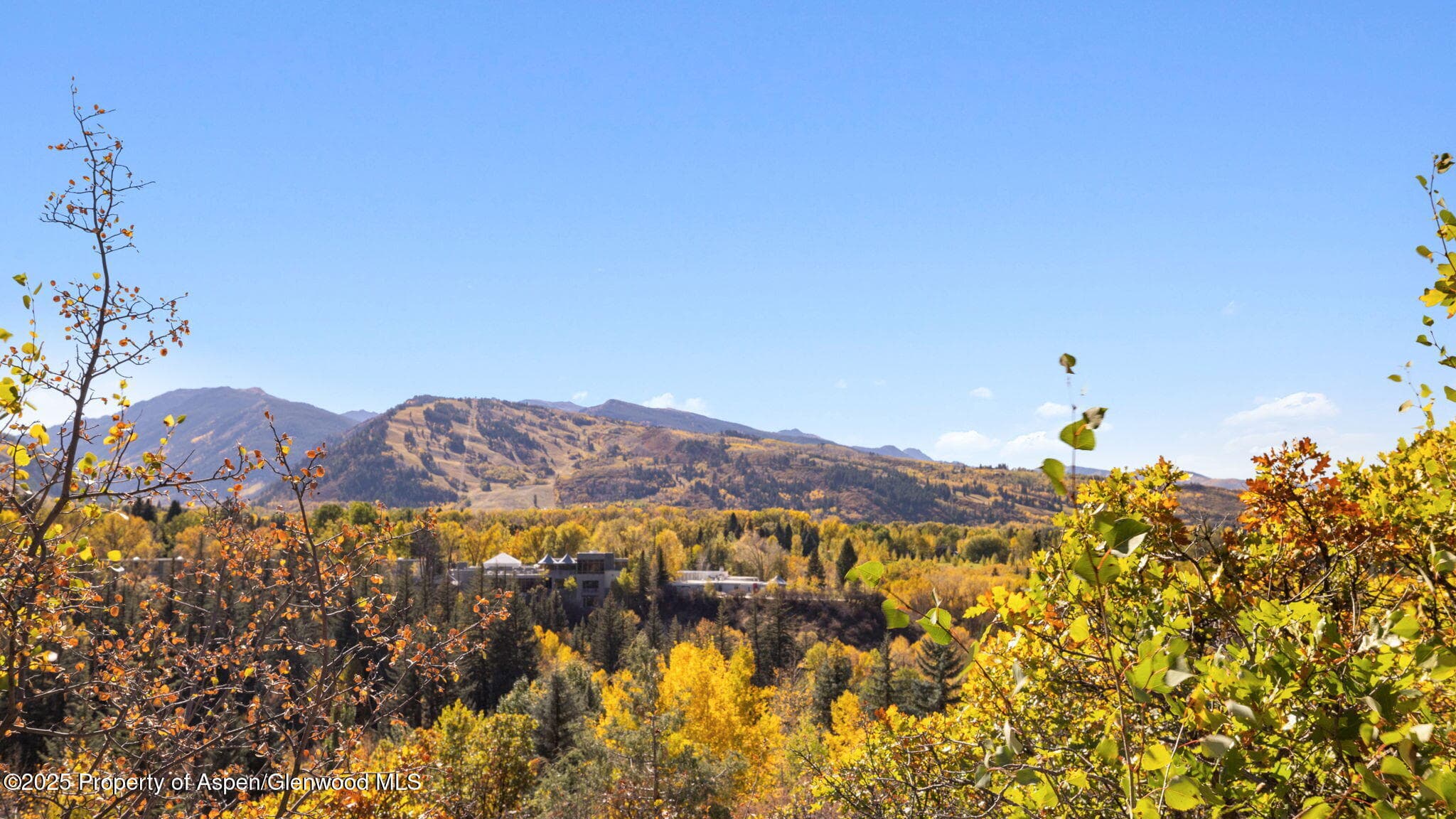 715 Willoughby Way, Aspen, CO 81611 - Photo 65