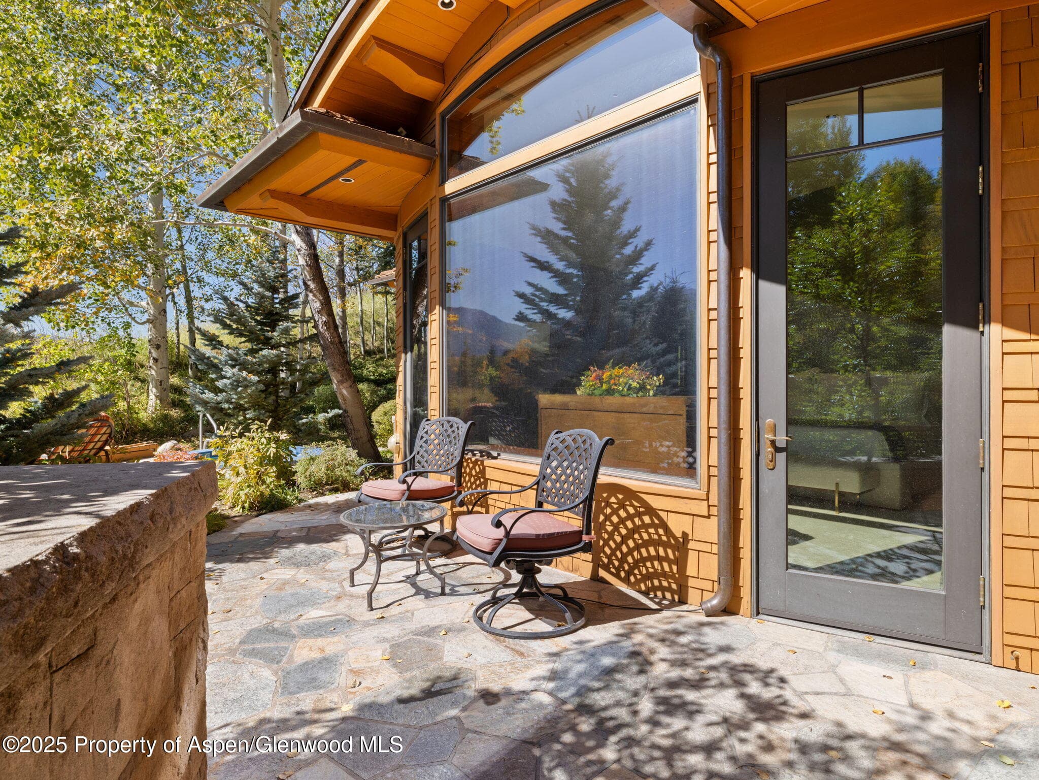 715 Willoughby Way, Aspen, CO 81611 - Photo 57