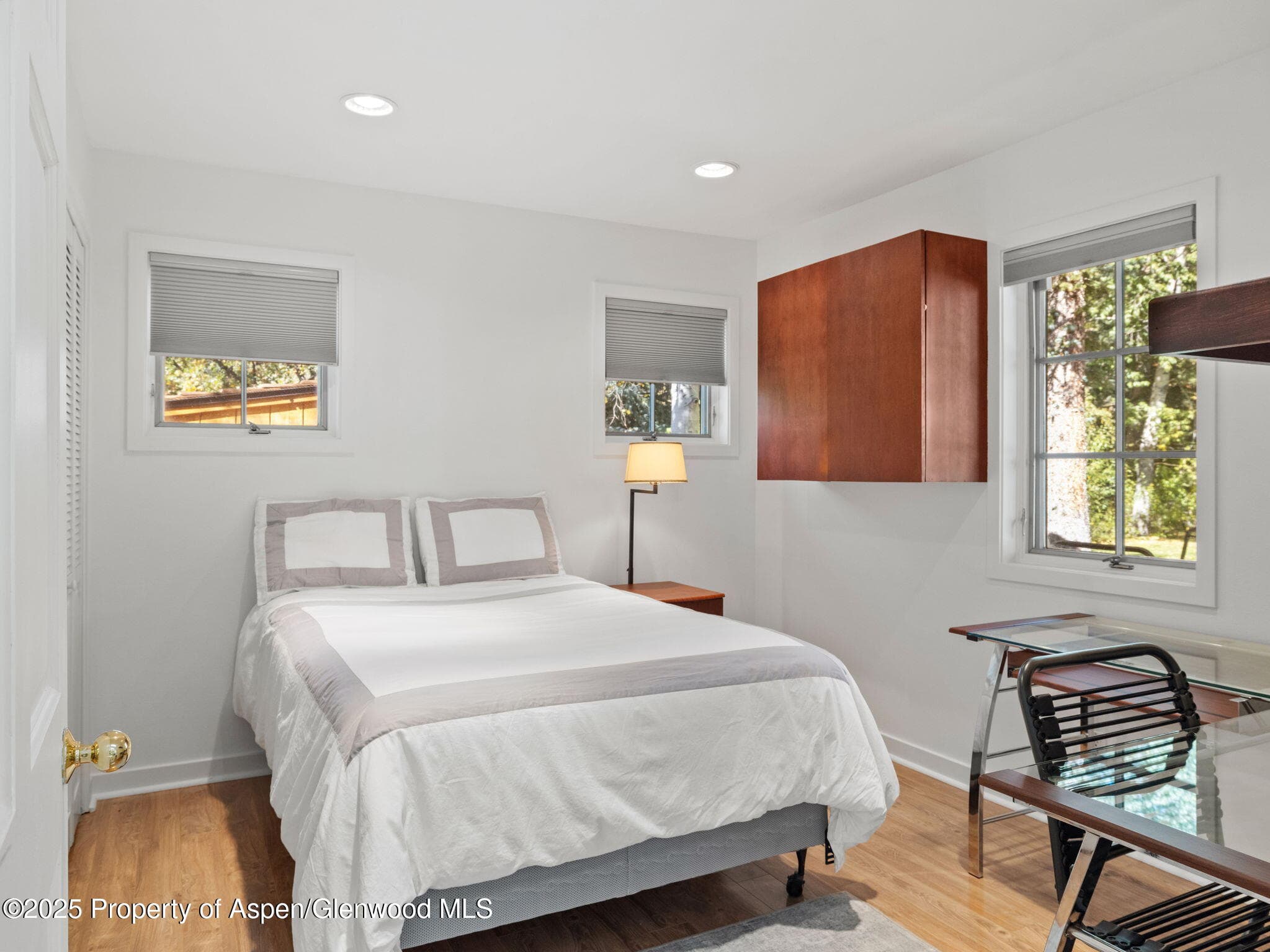 715 Willoughby Way, Aspen, CO 81611 - Photo 47