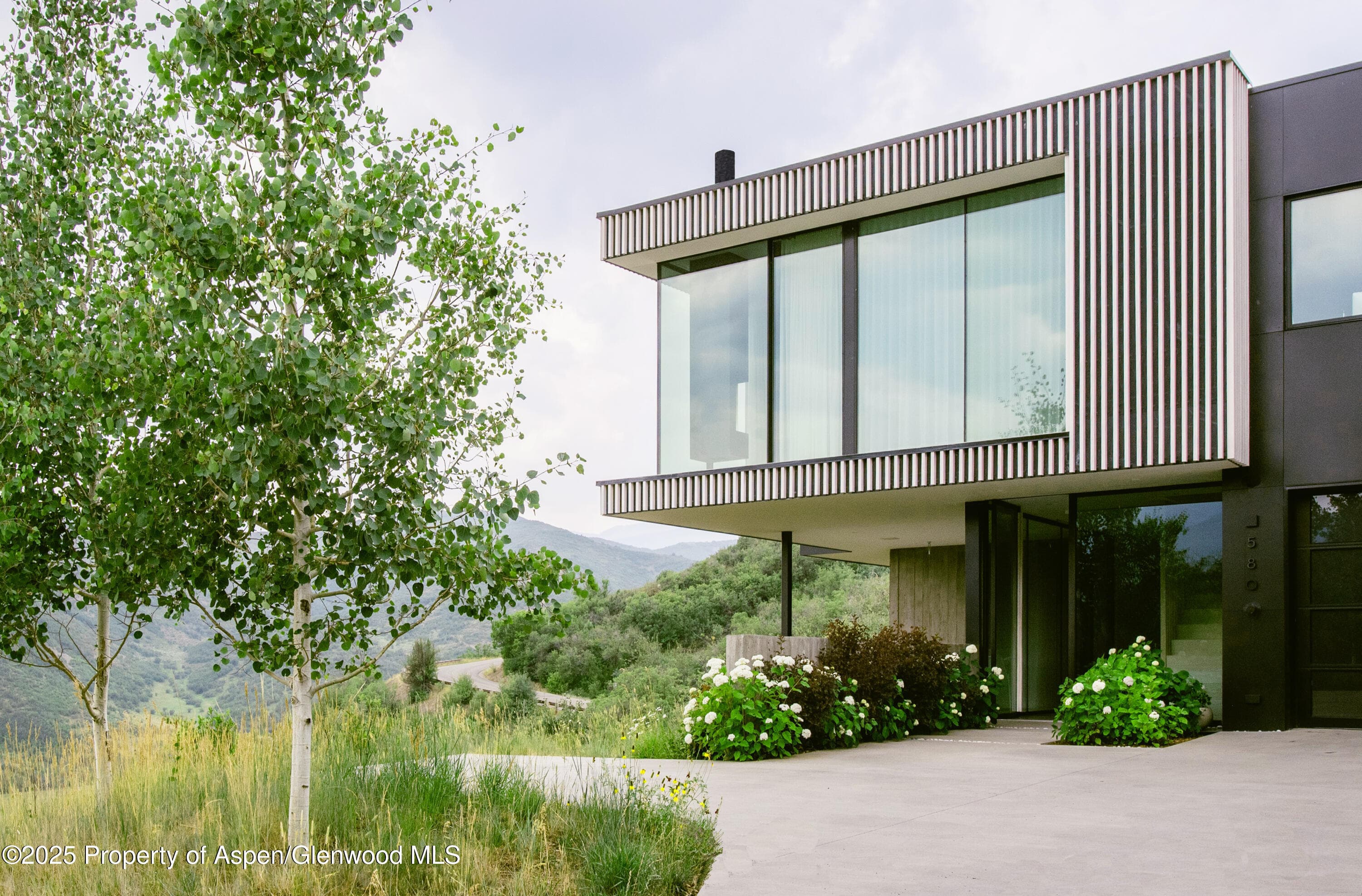 580 Medicine Bow Road, Aspen, CO 81611 - Photo 27