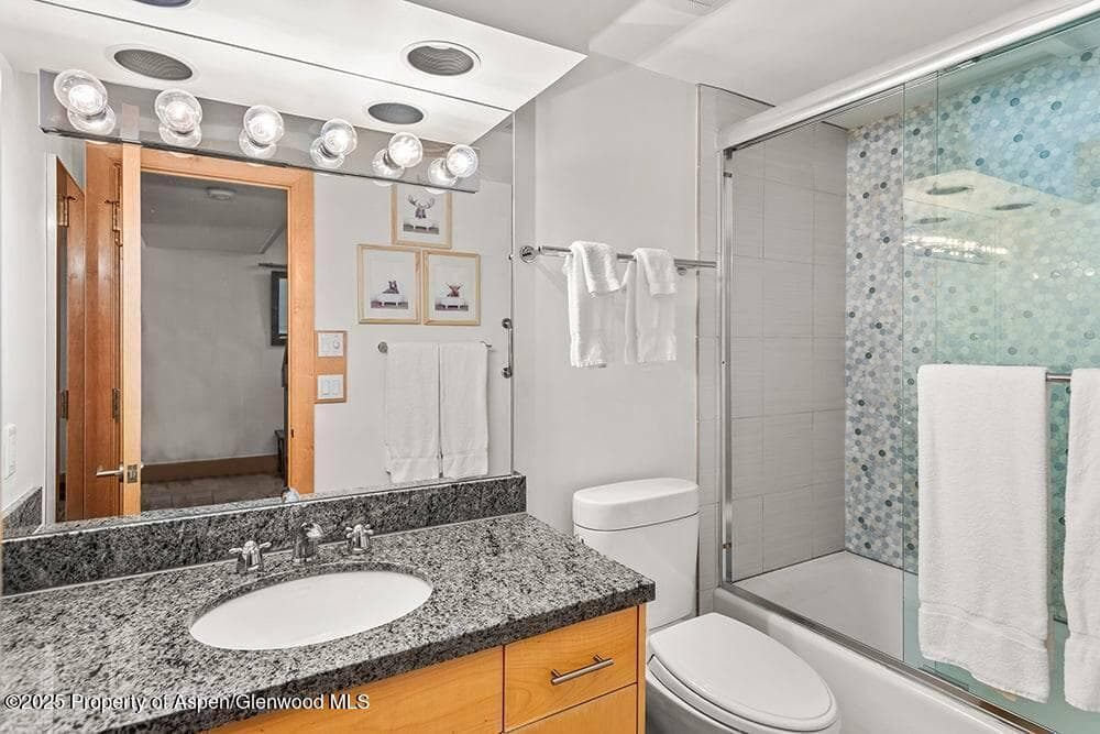 625 S West End Street 8, Aspen, CO 81611 - Photo 8