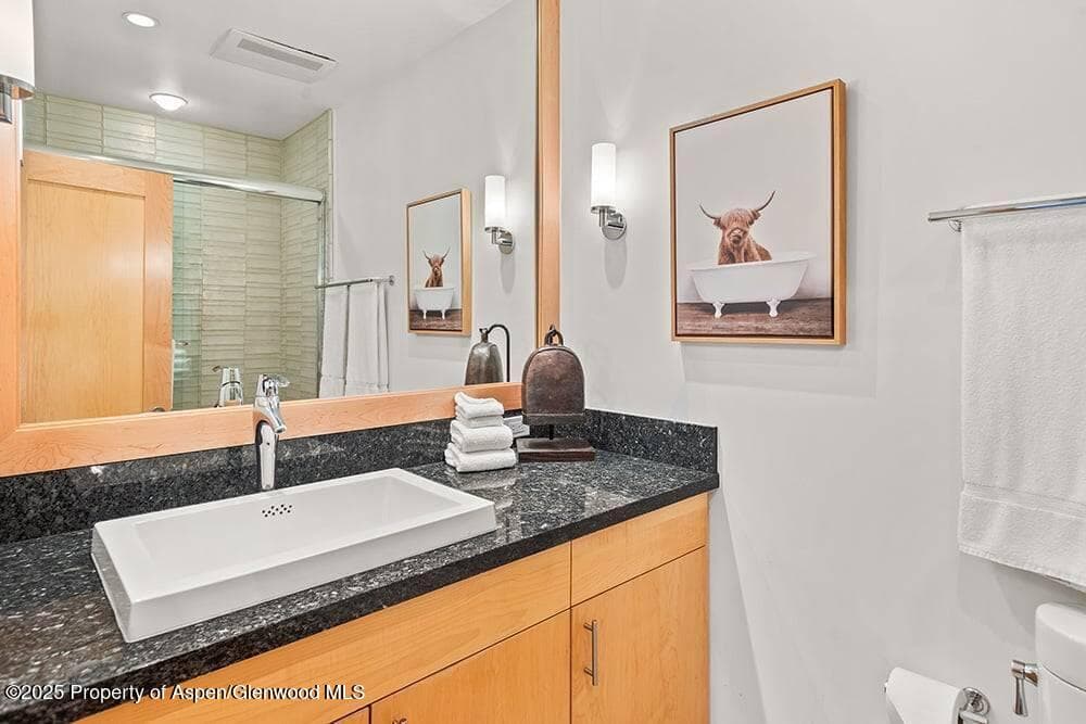 625 S West End Street 8, Aspen, CO 81611 - Photo 12