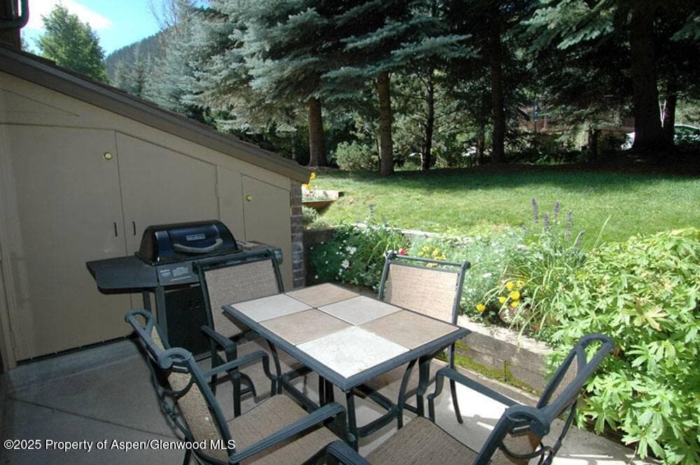 625 S West End Street 8, Aspen, CO 81611 - Photo 15