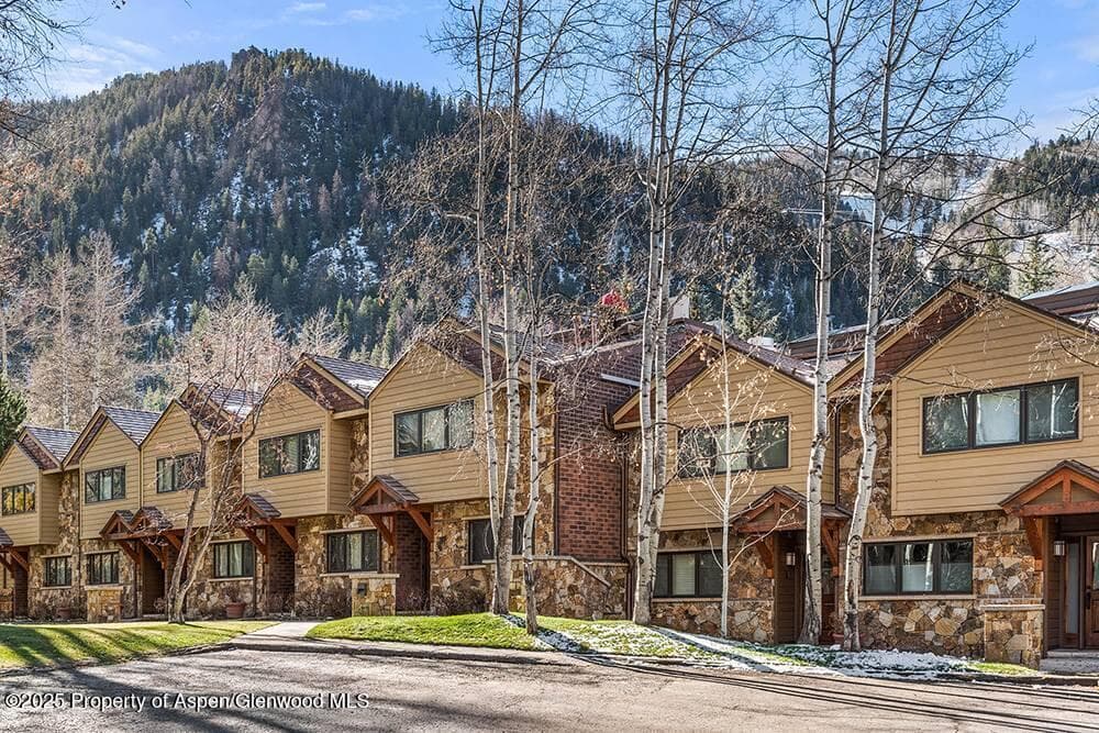 625 S West End Street 8, Aspen, CO 81611 - Photo 17