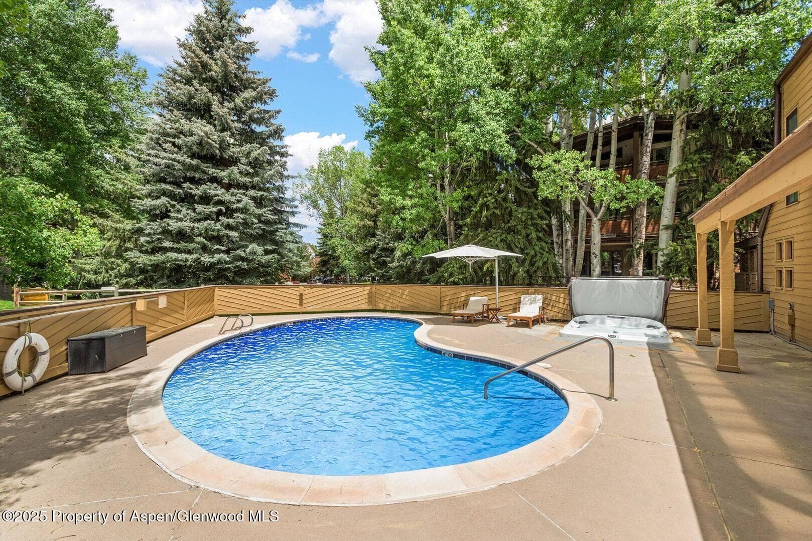 625 S West End Street 8, Aspen, CO 81611 - Photo 18