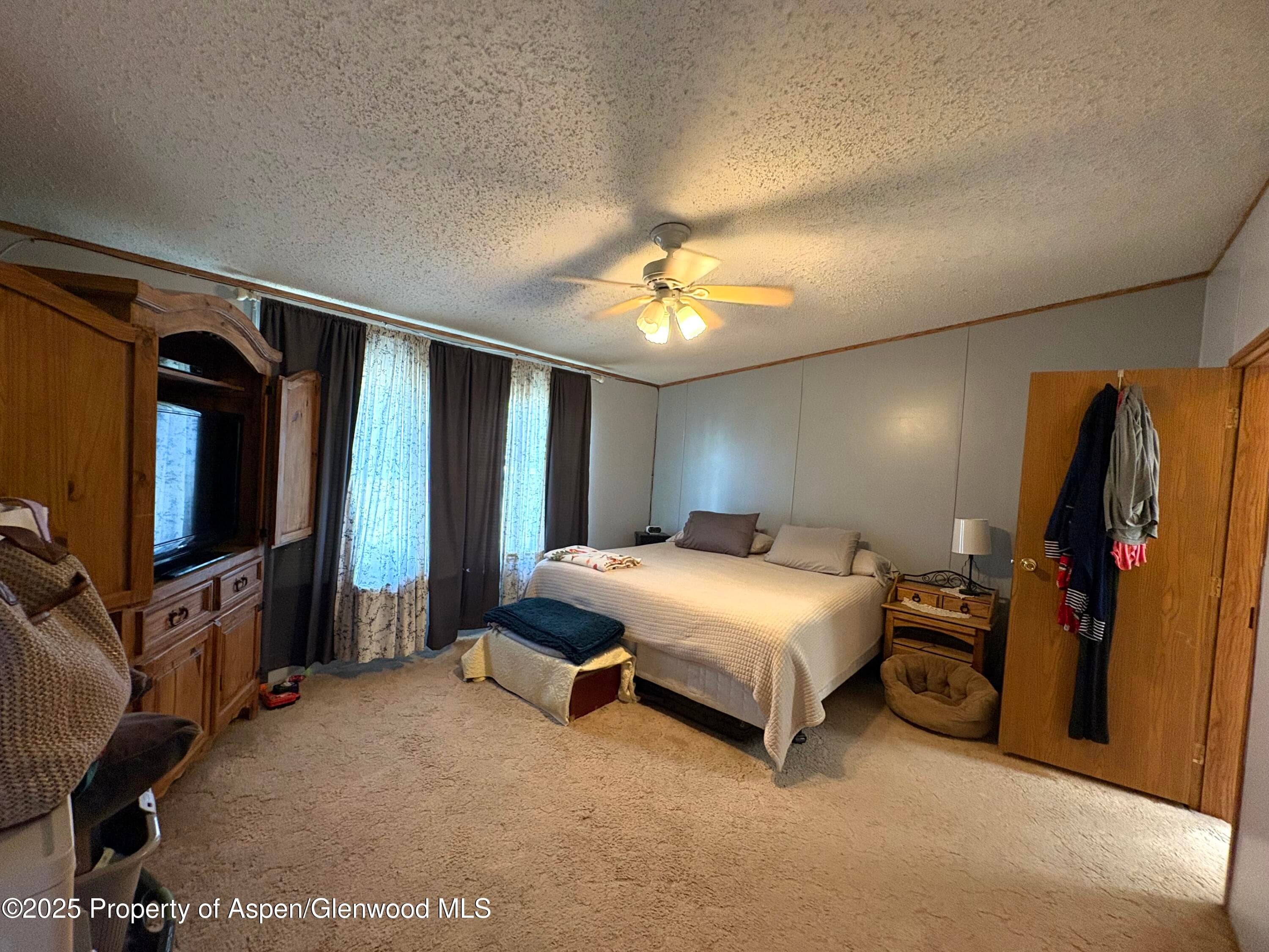 100 Logans Lane, Parachute, CO 81635 - Photo 11
